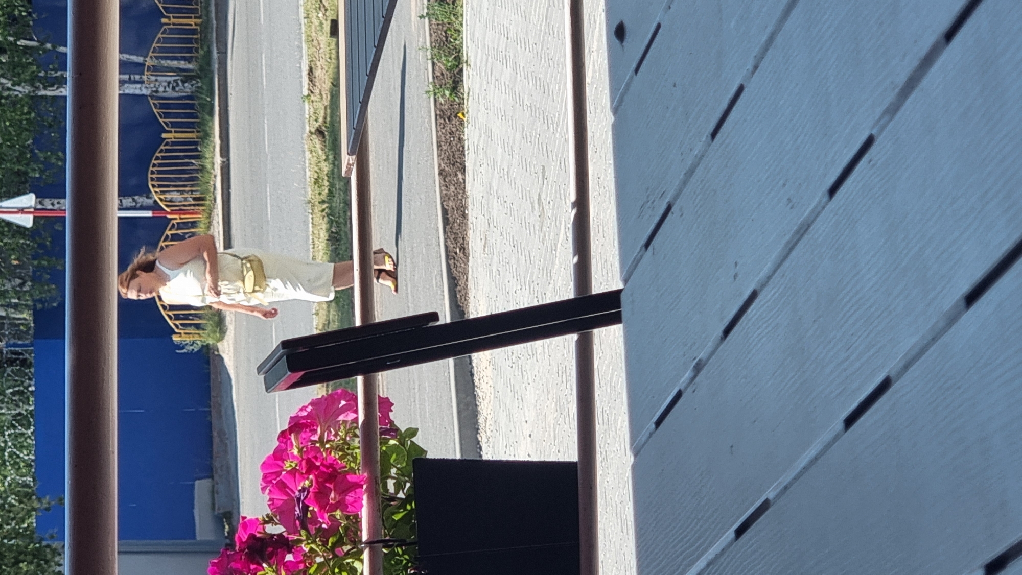A woman is walking near a street in the city of Megion, Russia. She is wearing a light-colored dress and carrying a yellow purse. The woman is walking on a sidewalk. In the foreground, there is a table and some flowers in a pot. In the background, there is a blue wall and a yellow fence. The weather is sunny.