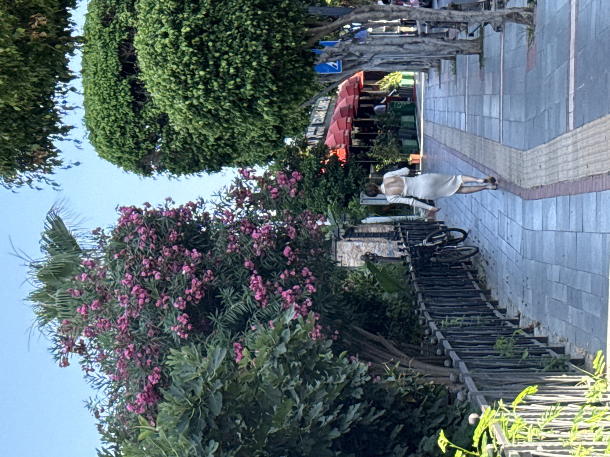 A woman in a white dress is walking down a sidewalk lined with lush green trees and vibrant pink flowers. The scene appears to be outdoors on a sunny day, with a clear blue sky visible. The woman is seen from behind, with her back exposed by the dress. She is wearing sandals. To her left, a bicycle is leaning against a wooden fence. In the background, there are awnings of a building, possibly a cafe or restaurant, with red fabric. The sidewalk is paved with tiles. The location is Alanya, Turkey. There are no discernible emotions from the subject.