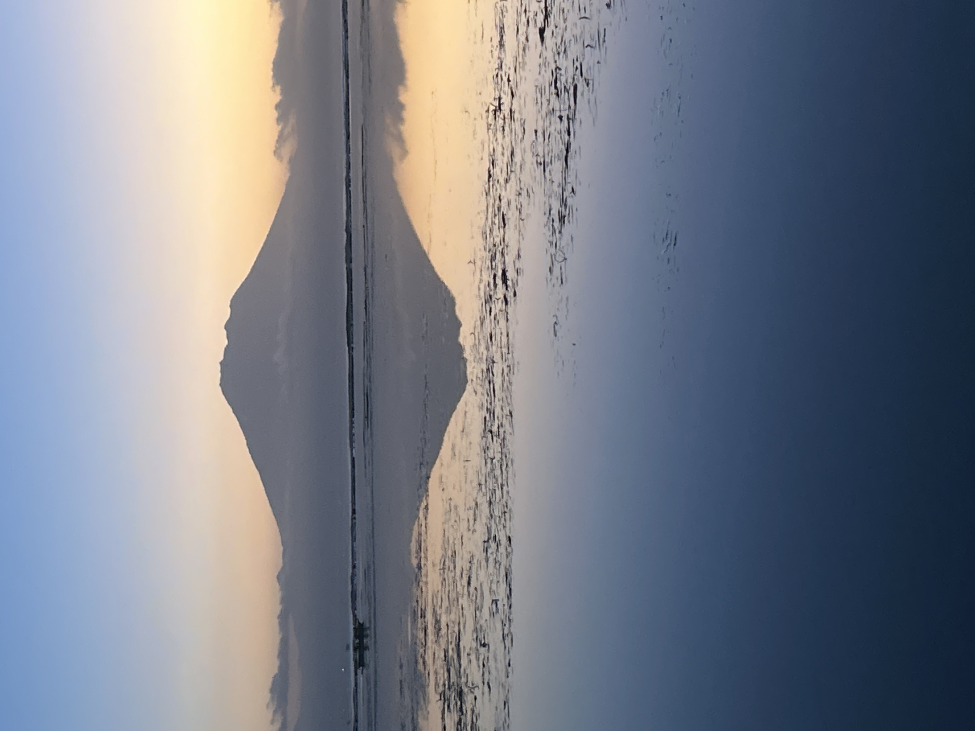 This is a vertical, eye-level shot of Mount Agung, an active volcano in Bali, Indonesia, reflected in the calm waters of a body of water at sunrise or sunset. The sky transitions from a pale blue at the top to a soft yellow and orange gradient near the horizon, where the silhouette of the volcano and some clouds are visible. The reflection of the mountain and the sky is clearly depicted in the water, which also shows a scattering of what appear to be reeds or aquatic plants. In the distance, a small boat with two or three people can be seen on the water. The scene evokes a sense of tranquility and natural beauty. The location is likely near the coast of Denpasar, given the context.