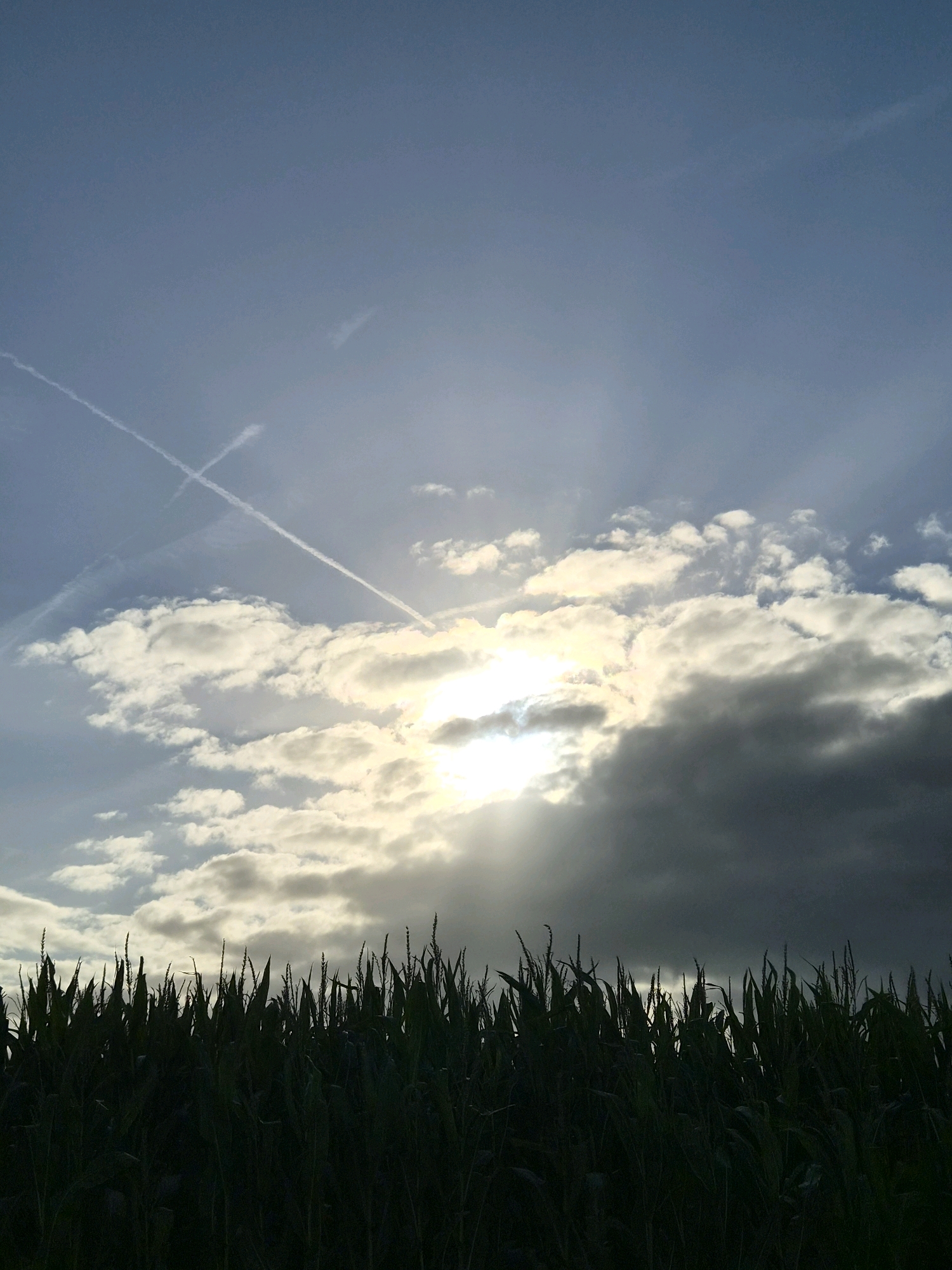 A silhouette of a cornfield stretches across the bottom of the frame against a sky dominated by clouds and the sun. The sun is partially obscured by dense, dark clouds on the right, while lighter, brighter clouds are visible on the left, allowing shafts of sunlight to pierce through. Two contrails cross the sky, forming an "X" shape. The corn stalks are dark and appear tall, with their tops reaching towards the sky. The scene is likely an outdoor agricultural setting in Schiffdorf, Germany, during either sunrise or sunset, given the low angle of the sun and the dramatic lighting. There are no people or visible animals in the image.