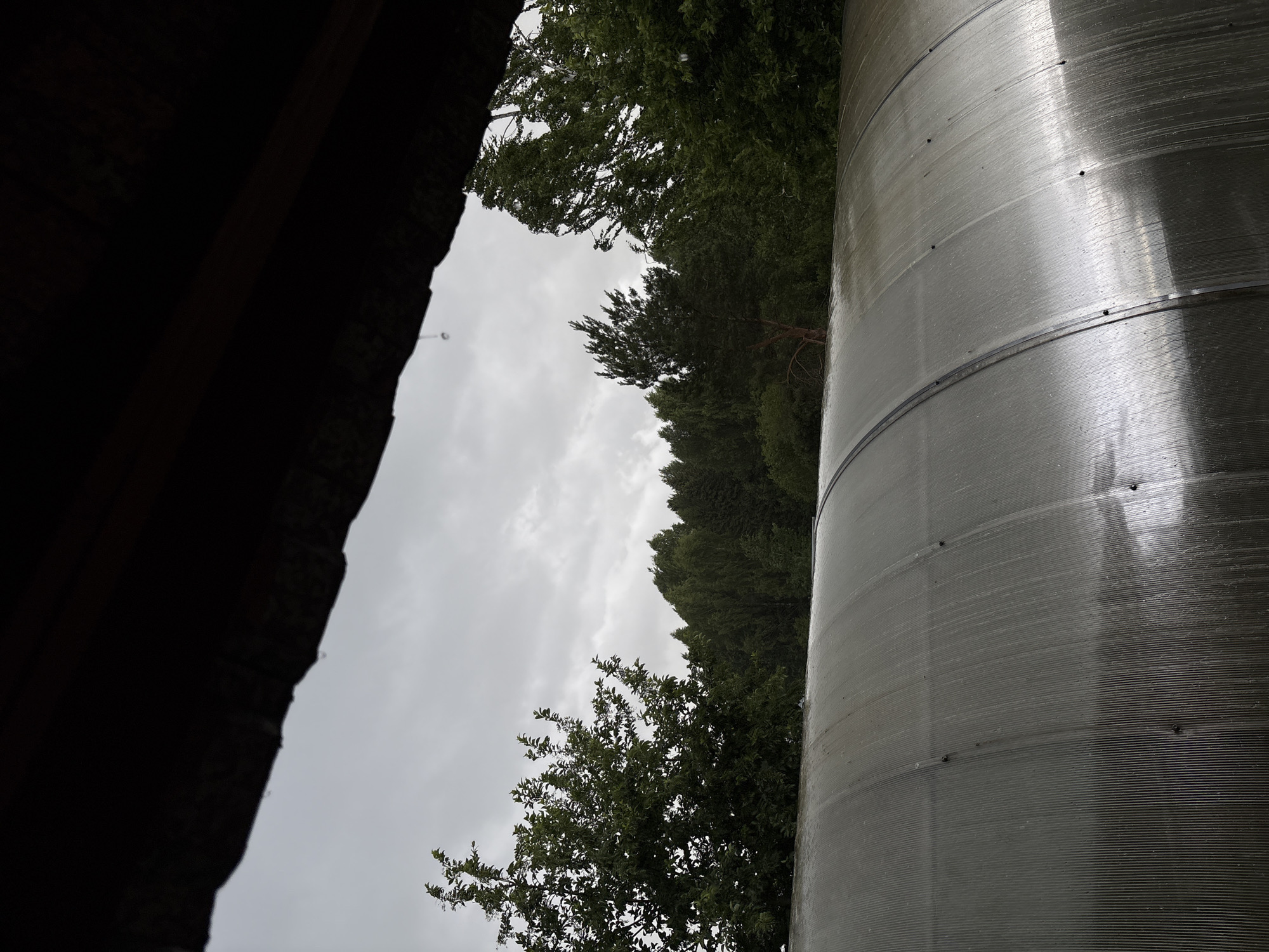 The image shows a view from under a dark overhang, likely a roof, looking out at a cloudy sky and a dense line of trees. In the foreground, the curved, translucent surface of a greenhouse or similar structure is visible, wet with rain and reflecting the overcast sky. There are no people or animals present in the scene. The overall impression is one of a somber, rainy day in a rural or semi-rural setting, consistent with the location of Дресвяново, Russia. The trees appear to be a mix of deciduous and coniferous species. The lighting is dim and diffused due to the cloud cover.