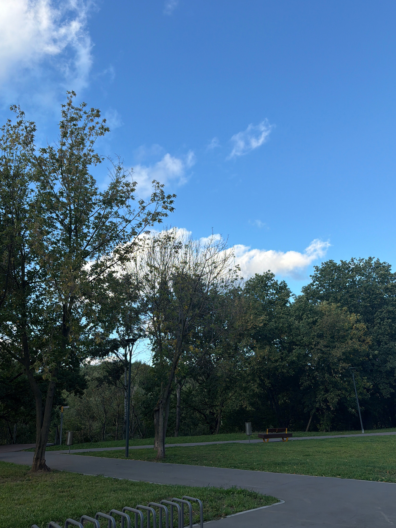The image depicts a park scene with a paved pathway and a grassy area under a bright blue sky with scattered white clouds. In the foreground, there is a metal bicycle rack. Further into the park, a path winds through the grass. Trees with green foliage line the background, with a few bare trees visible among them. A park bench and a trash can are situated on the grass. The overall impression is that of a tranquil public park, likely a recreational area within a city, with clear weather suggesting it is daytime. Without further information or context, it is impossible to definitively identify this location as being within the city of Moscow, Russia.