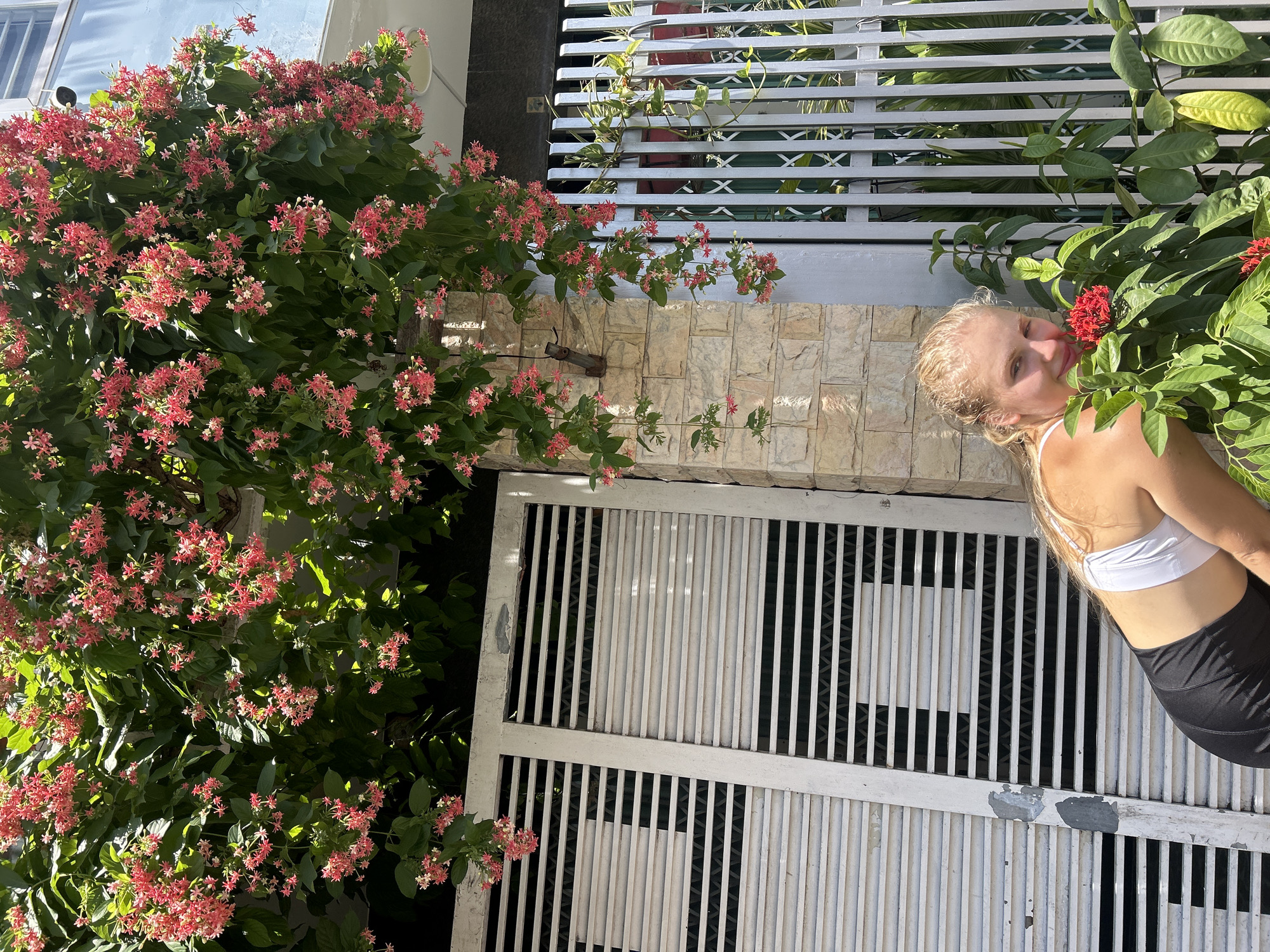 In Nha Trang Ward, Vietnam, a young woman with blonde hair, wearing a white sports bra and black shorts, is captured in a three-quarter view, leaning forward to smell a cluster of bright red flowers. She is positioned in front of a beige brick wall and a white louvered gate. Behind her, a dense vine with small pink flowers cascades from above, creating a vibrant canopy. To the right, a white metal fence encloses greenery and plants. The scene appears to be outdoors on a sunny day, with soft shadows indicating natural light.