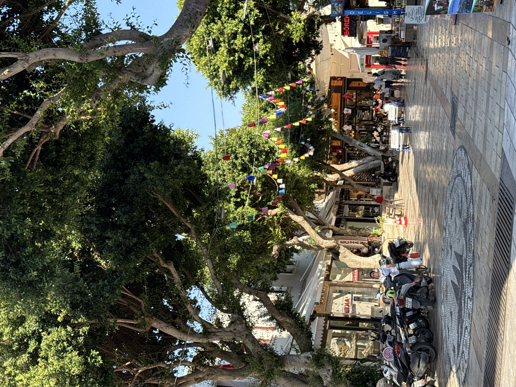 A picturesque street scene unfolds in Bodrum, Turkey, under a bright blue sky, with lush green trees providing ample shade over a pedestrian walkway. The walkway is paved with a mix of patterned stone and brick, leading past a row of shops. Colorful, bell-shaped decorations are strung across the street between the trees, adding a festive atmosphere.
Several motorcycles are parked on the left side of the walkway, with one person standing near them. A few people are visible in the background, some seated at outdoor tables in front of a shop, while others are walking along the street. The shops themselves have awnings and display signs, suggesting a commercial area.
To the right, more shops are visible, one with a prominent red sign that reads "BÖREK." In the foreground on the right, a poster displaying images is propped up. The overall impression is a vibrant and inviting street in a Turkish city.