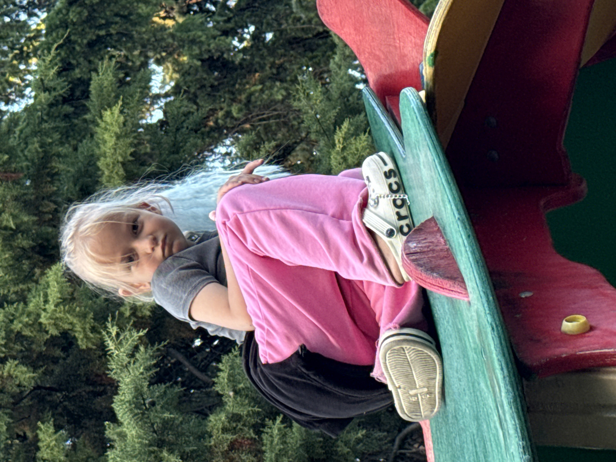A young child with blond hair is perched on a colorful playground structure. The child is wearing a gray t-shirt, pink sweatpants, a black skirt, and beige Crocs. The playground structure is painted in various colors, including red, green, and yellow. The background features lush green trees. The location is unknown.