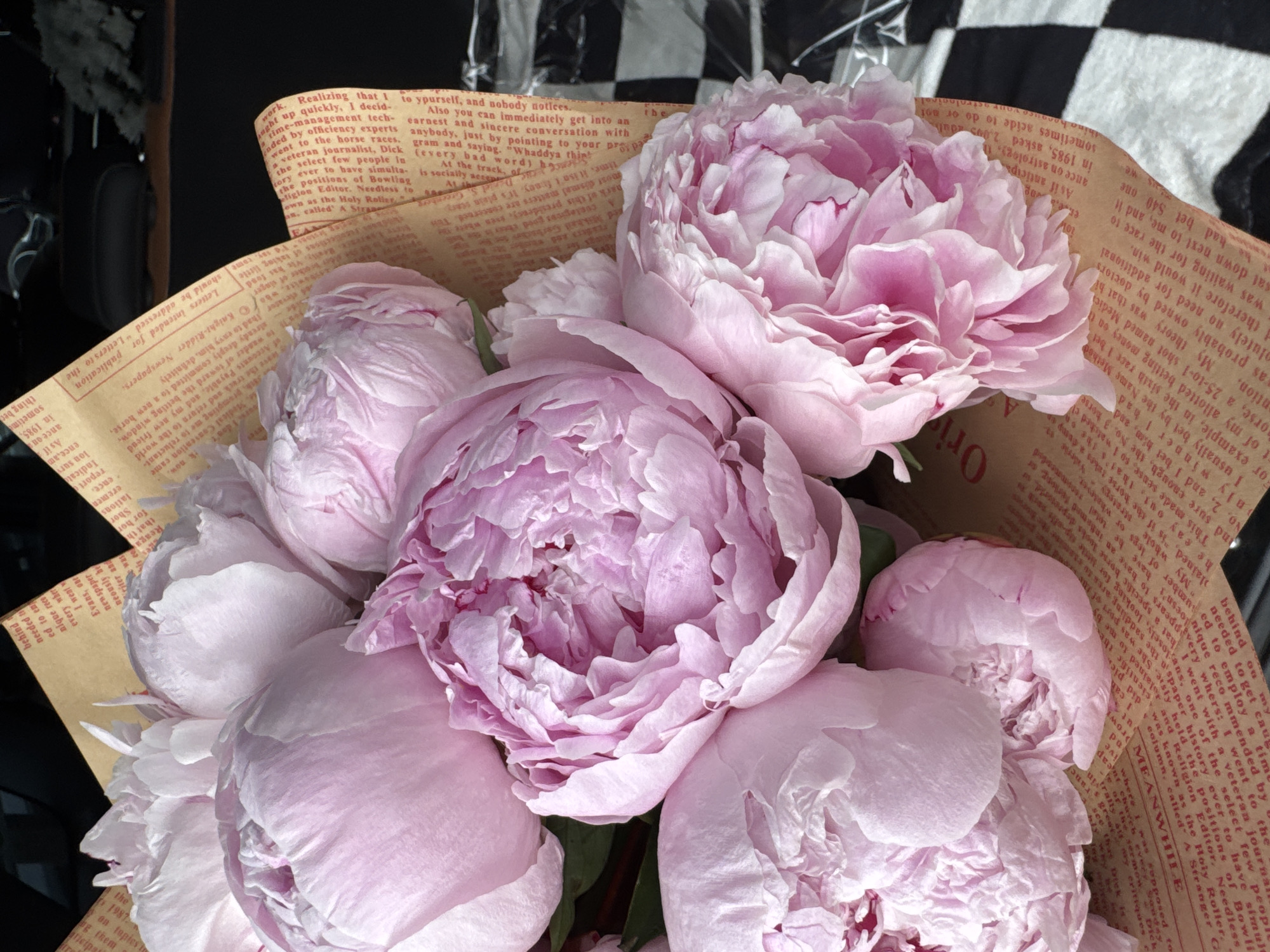 This media file is a close-up, top-down view of a bouquet of light pink peonies, beautifully arranged and wrapped in a vintage-style newspaper. The focus is on the delicate, layered petals of the flowers, with a few hints of green leaves peeking through. The newspaper wrapping provides a textured background, with visible text in red ink. Some of the discernible text fragments include "time-management tech," "veteran journalist," "horse races," and "Letters intended for publication." The overall mood is elegant and slightly nostalgic, with the soft lighting emphasizing the gentle beauty of the peonies. The checkered pattern in the background suggests an indoor setting, possibly a table or surface. The image evokes a sense of luxury and an appreciation for natural beauty, with the newspaper adding a touch of vintage charm.
