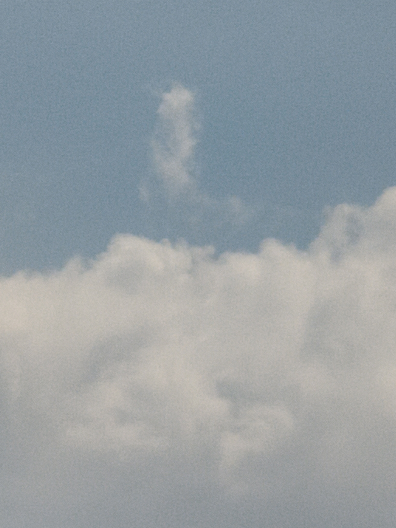 The image depicts a cloudy sky with fluffy white clouds. A thin, wispy cloud formation is visible against the pale blue sky in the upper center of the frame, appearing almost like a stylized figure. The lower portion of the image is dominated by a larger mass of dense, white clouds. The scene appears to be an outdoor environment, possibly a landscape or cityscape, but no specific landmarks or structures are discernible to pinpoint a location within Steblivka, Ukraine. There are no people, animals, or specific objects visible in the frame. The overall impression is one of a natural skyscape.