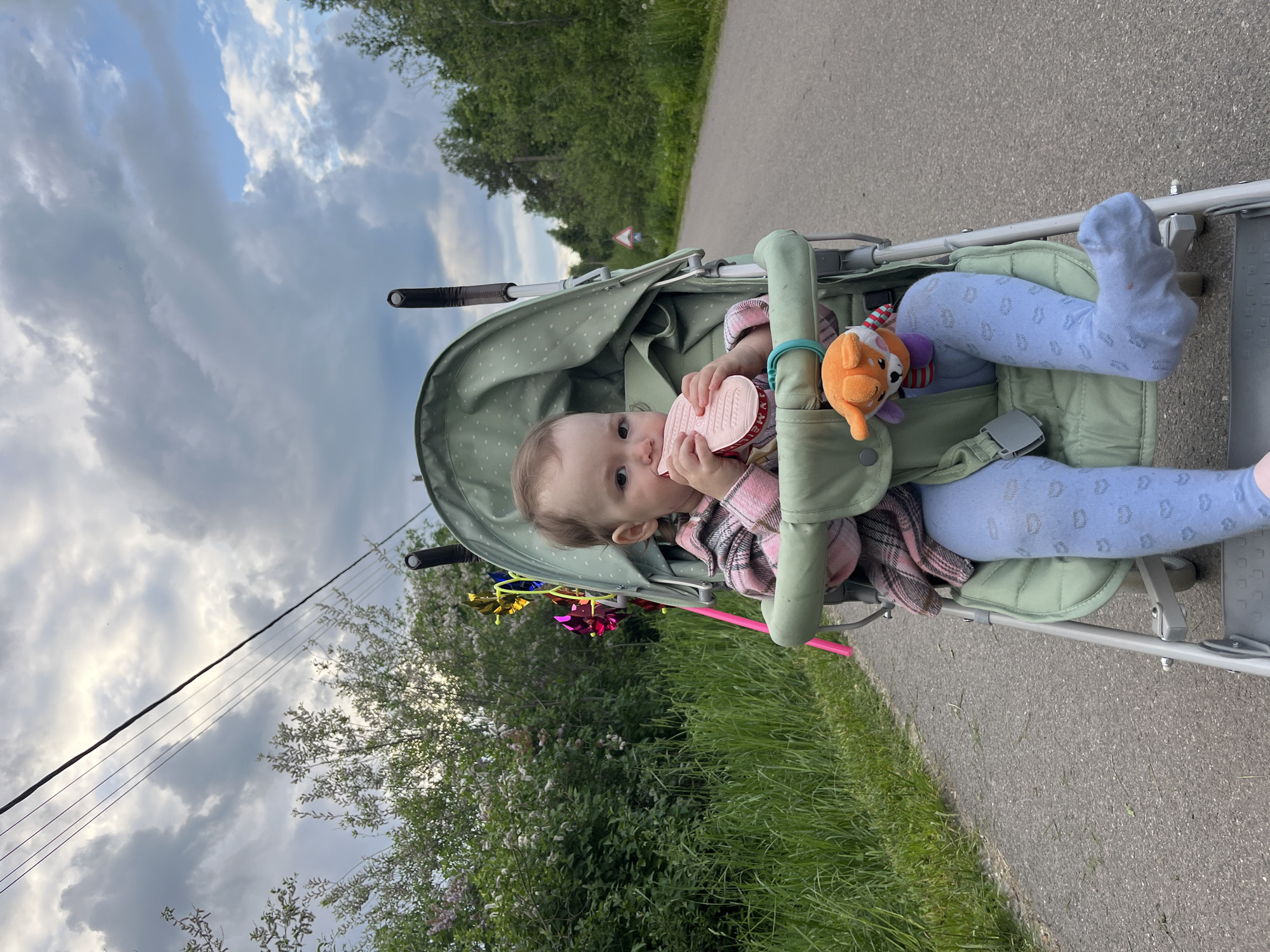 An image taken in Мшинская, Russia, captures a baby sitting upright in a light green stroller with white polka dots, likely during an outdoor walk. The baby is the main subject, looking towards the viewer with curious eyes, and holding a pink, shoe-shaped teether or toy to their mouth. They are wearing a plaid top and light blue patterned tights or leggings. An orange stuffed animal hangs from the side of the stroller.
The scene depicts a paved path or roadside, with green grass, various bushes, and trees lining the background. The sky above is largely cloudy, suggesting an overcast day or possibly late afternoon. Power lines are visible stretching across the upper left portion of the sky. In the mid-ground, a triangular road sign with a red border can be faintly seen among the trees. Colorful, reflective pinwheel-like decorations are attached to the stroller's frame on the left. The overall setting is natural and peaceful, capturing a moment of an infant enjoying the outdoors. No discernible text is visible other than subtle patterns on the baby's clothing.