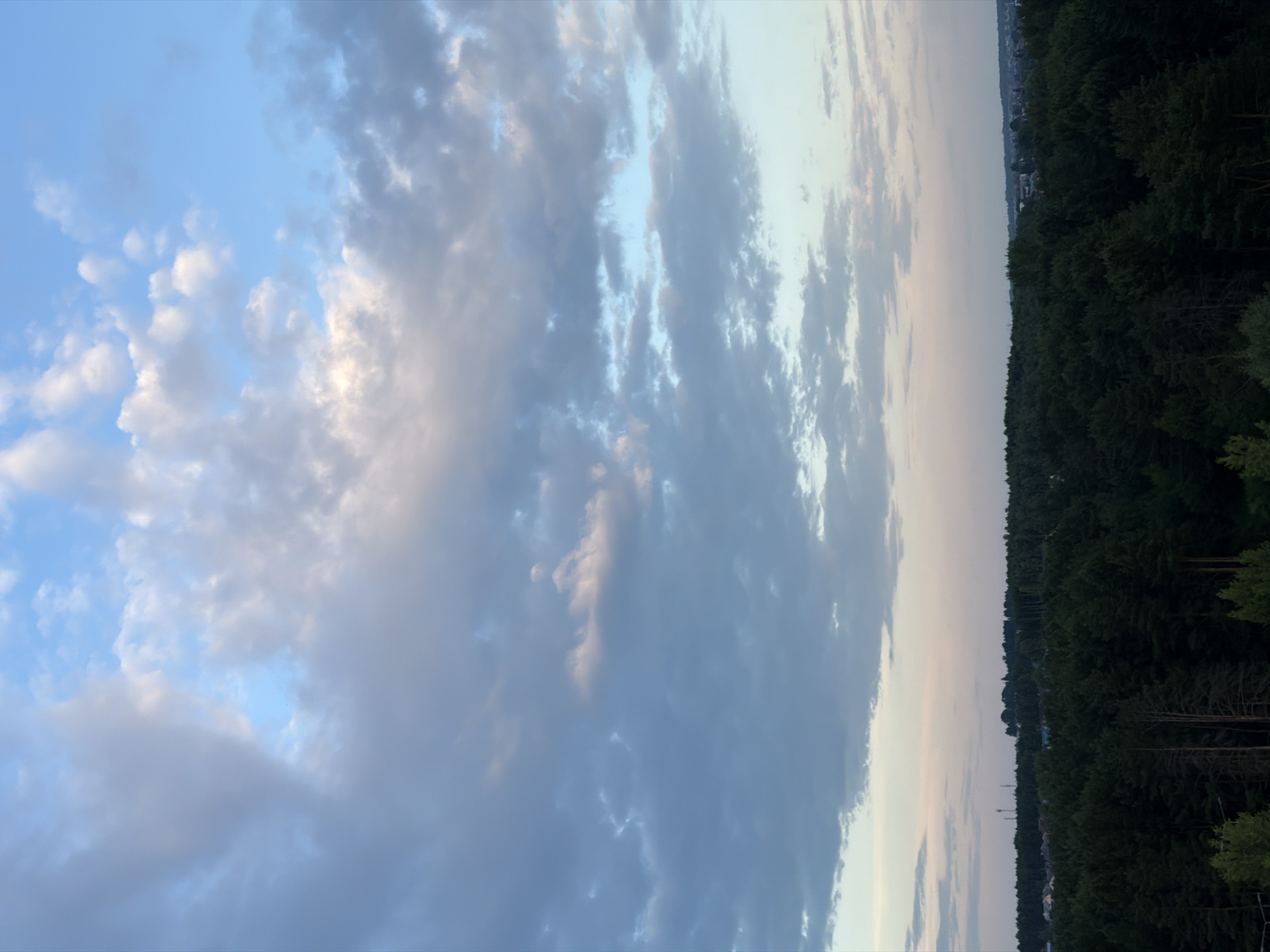 This is a high-angle, full shot of a dense forest with a town in the distance, under a dramatic sky with clouds. The forest is composed of tall, dark green trees, mostly pines, with some lighter green foliage interspersed. The tree line extends across the frame, forming a dark, undulating mass. In the background, a hazy town is visible with buildings and some taller structures, possibly communication towers. The sky is a mix of blues and grays, with fluffy white and pinkish clouds scattered across it, suggesting either sunrise or sunset. The overall lighting is soft and diffused.
