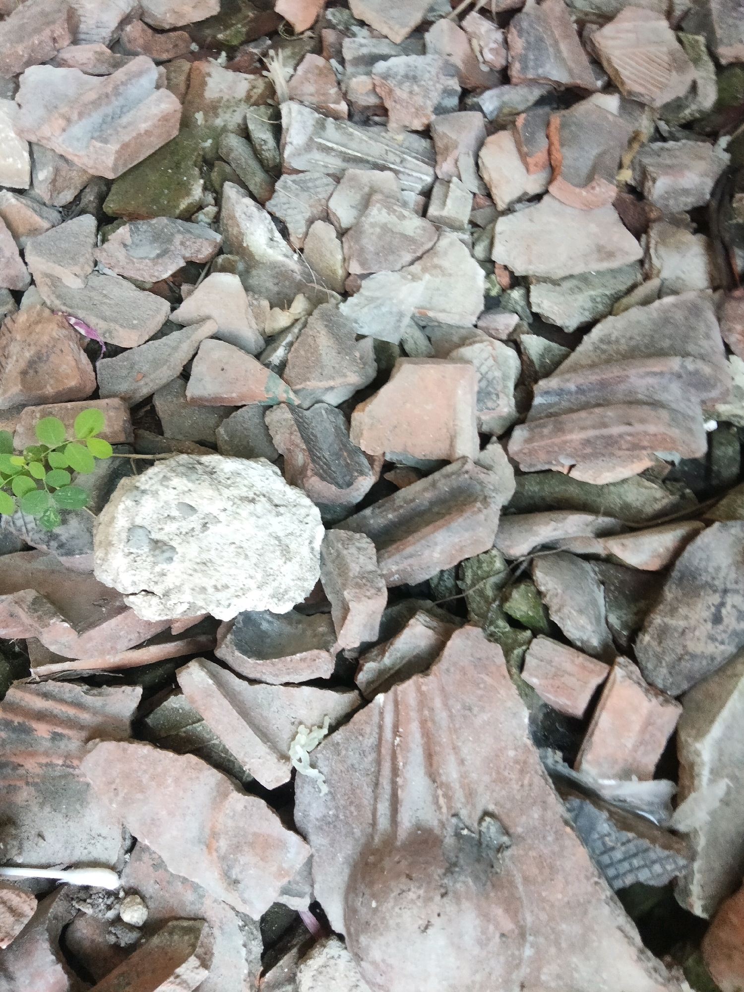 The image shows a pile of broken red bricks and roof tiles, likely from a demolition or construction site, on the ground. The debris is scattered and irregular, with some pieces showing signs of age and weathering. A small, green plant is growing amongst the broken material. The scene is located in Merakurak, Indonesia.