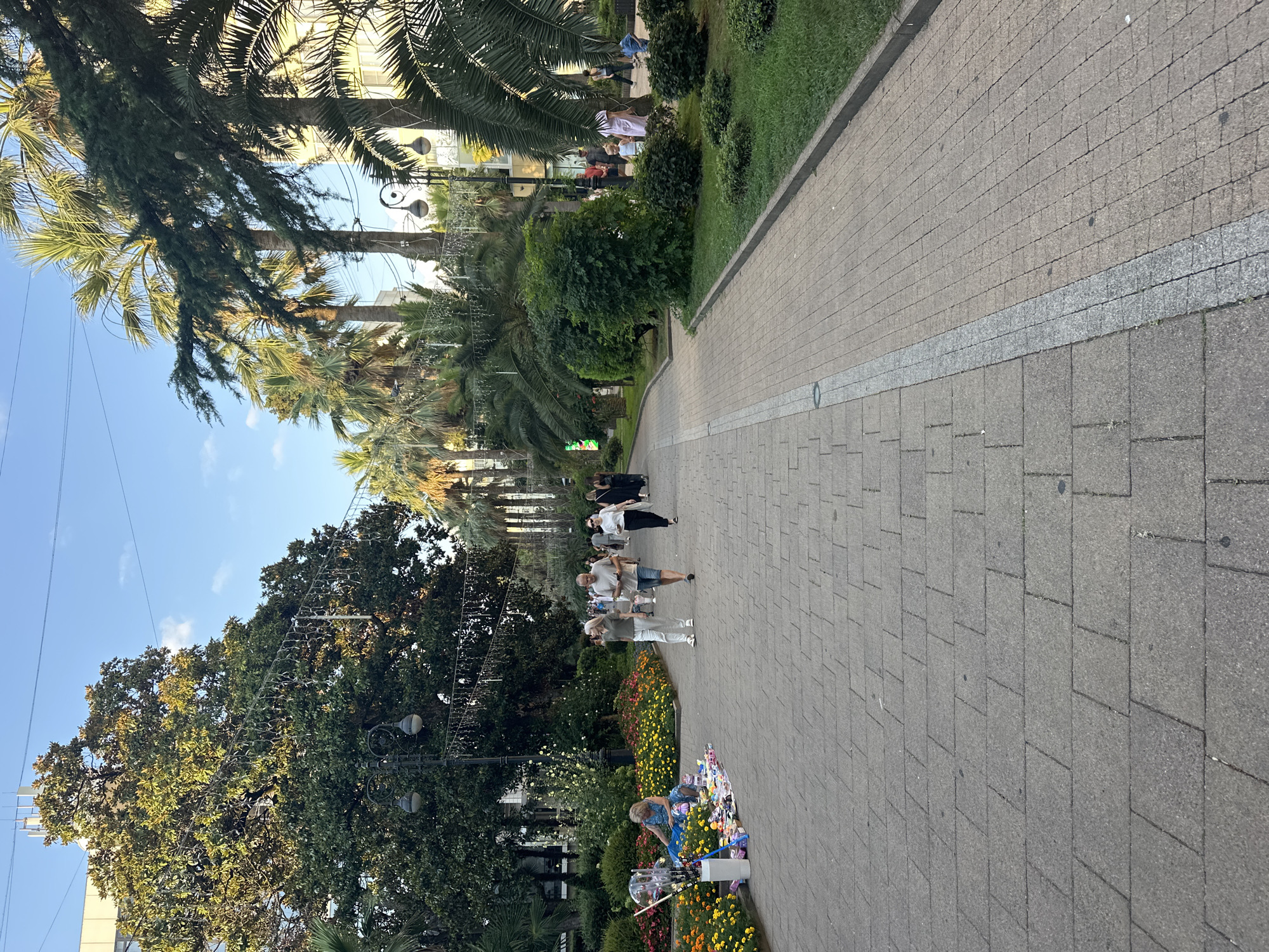 A sunny day scene captures a pedestrian promenade in Sochi, Russia, likely near the city center. The promenade is paved with rectangular stone tiles, with a central decorative band of smaller, lighter-colored stones. Lush green grass borders one side of the promenade, dotted with small, rounded bushes and flower beds bursting with yellow and pink blooms. Tall palm trees and a large, mature evergreen tree with ornate string lights draped across its branches line the opposite side, creating a canopy effect. Several lampposts with two globe-shaped lights are strategically placed along the promenade.
In the foreground, a woman in a blue dress sits on the grass, surrounded by a colorful assortment of merchandise laid out on the pavement. Items include small toys, bubble wands, and packaged goods. To her right, two couples walk along the promenade, with one couple in the foreground wearing casual summer attire: a man in a light t-shirt and blue shorts, and a woman in a grey t-shirt and white pants. Further down the promenade, other pedestrians are visible, including a group of people near a building and some children. The background reveals buildings and more palm trees, suggesting a lively urban environment. The sky is a clear, bright blue with a few wispy clouds.