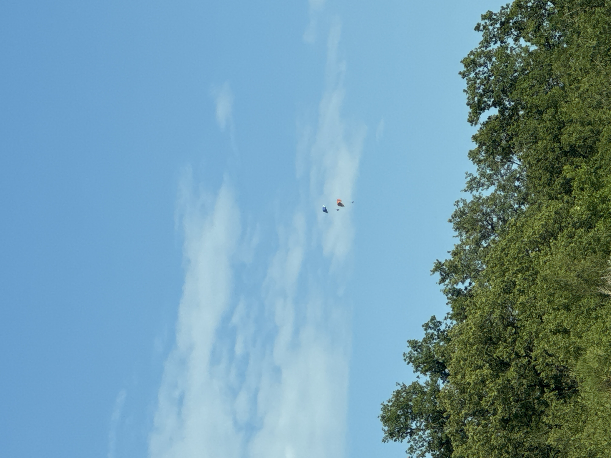 In the sky above Stanišići, Montenegro, three paragliders are visible against a backdrop of a bright blue sky dotted with wispy white clouds. The paragliders are at varying altitudes, with one at a higher elevation and two at a lower altitude. One of the lower paragliders appears to be orange and white, while the other is blue. Below the sky, the tops of lush green trees create a dense canopy, suggesting a natural or semi-rural environment. The overall scene depicts an outdoor recreational activity taking place on a clear day.