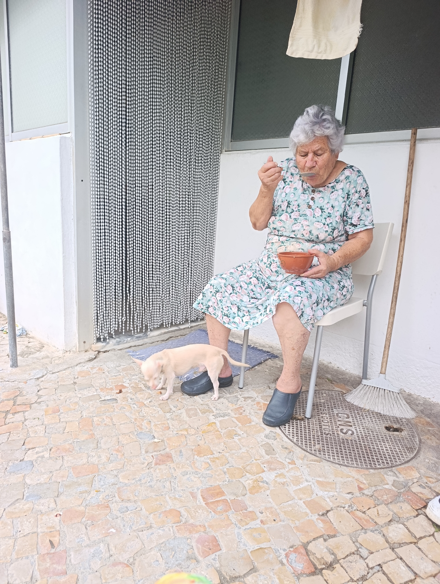 An elderly woman with grey hair, wearing a floral print dress and black slip-on shoes, sits on a white plastic chair outdoors, eating from a brown bowl with a spoon. A small, light-colored dog is near her feet, sniffing the ground. Behind the woman, a beaded curtain hangs over a doorway, and a broom leans against a white wall. The scene takes place on a paved patio with a metal grate in the ground. The location is the city of Setúbal, Portugal.