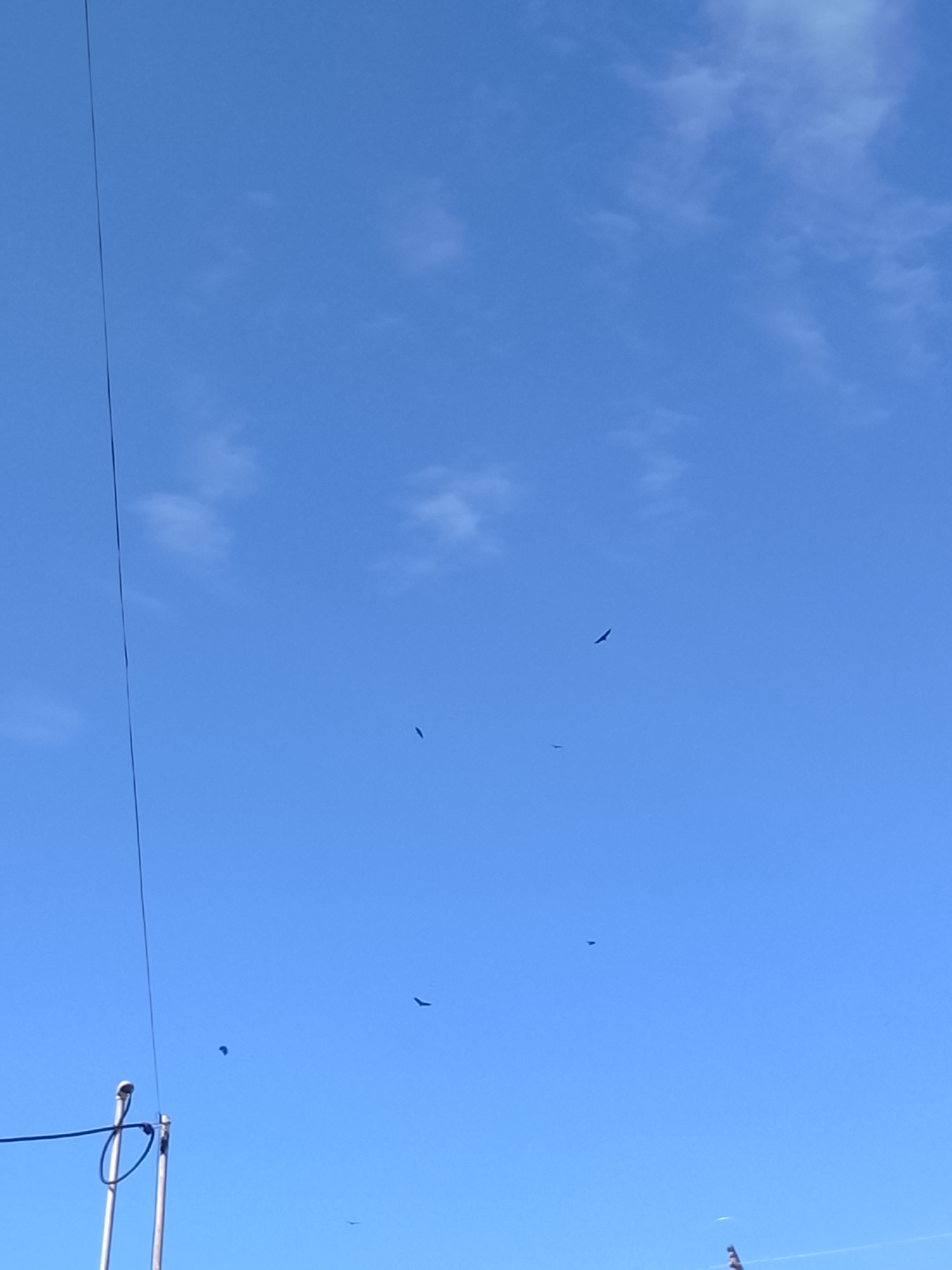 The image shows a bright blue sky with scattered, light white clouds. Several dark, silhouetted birds are flying across the sky. A thin black electrical wire runs diagonally across the upper left portion of the image. In the lower left corner, part of a light pole with attached wires is visible. The image was taken in Altagracia, Venezuela.