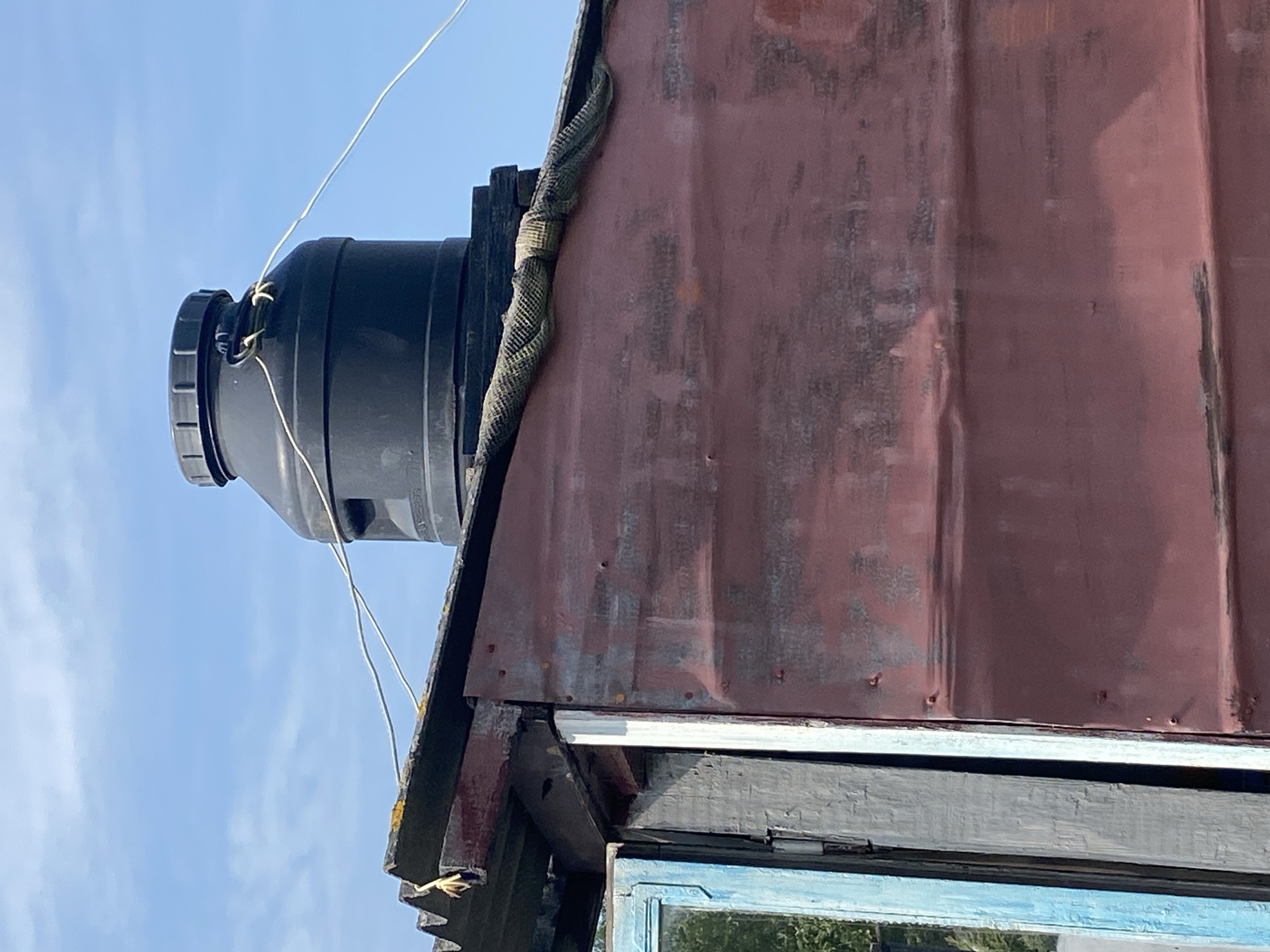 The image shows a close-up, low-angle outdoor view of a rustic, weathered shed with a large black plastic water tank mounted on its roof. The shed walls are made of corrugated metal, painted a faded, reddish-brown color with visible rust and wear. A portion of a blue-painted wooden door frame is visible on the left. The roof appears to be made of corrugated material, possibly asphalt shingles or similar, with some moss or lichen growth.
The water tank is cylindrical with a dark lid and has a thick, ribbed texture. Two thin white wires are attached to the top of the tank, extending outwards and downwards. One wire appears to be secured to the tank with a loop and knot. A piece of loosely woven, green-brown material, possibly netting or fabric, is wrapped around the edge of the roof where the tank is situated.
The background consists of a clear blue sky with faint white clouds. The overall impression is of a utilitarian structure, possibly in a rural or less developed area. The image provides no specific visual cues to pinpoint its location within Krupki, Belarus, beyond suggesting an outdoor setting. There are no people or animals visible in the frame. The lighting suggests a bright, sunny day.