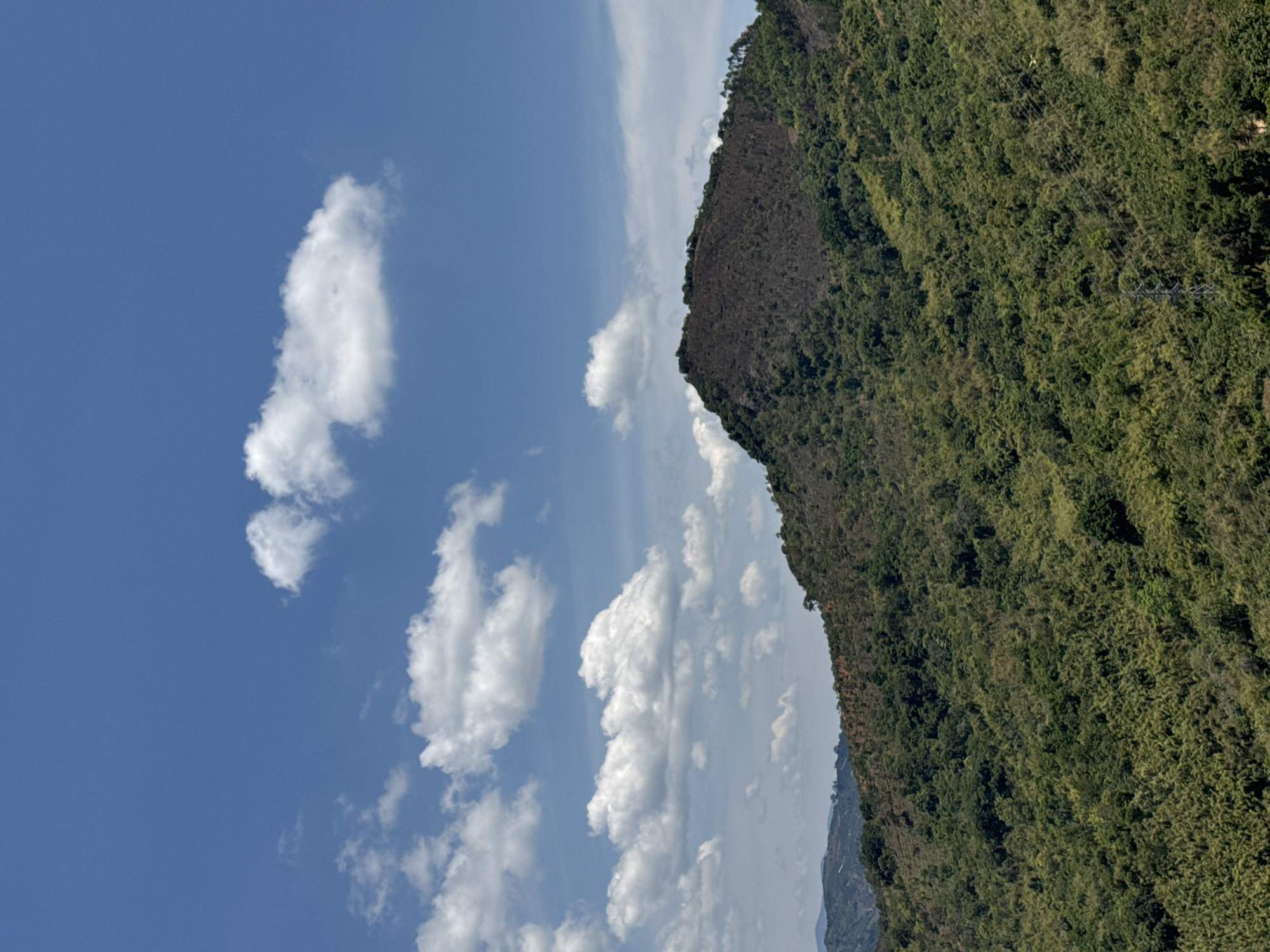This portrait-oriented photograph captures a serene natural landscape, predominantly featuring a mountain and a clear blue sky. The right side of the frame is dominated by a large, steep mountain or hill, densely covered in rich, green foliage. The vegetation appears lush, with varying shades of green suggesting a mix of trees and shrubs, possibly bamboo, covering the slopes. Some areas on the mountain's upper regions exhibit darker, possibly rockier or less vegetated patches.
The left two-thirds of the image consists of a bright, vibrant blue sky. Scattered across this expansive blue are multiple white, fluffy cumulus clouds of different sizes and shapes, adding depth and visual interest. Some lighter, more diffuse clouds are also visible higher in the sky. The horizon line, defined by the mountain's profile, creates a distinct boundary between the terrain and the sky.
A subtle detail within the mountain's dense canopy, particularly in the middle-right section, is the presence of faint power lines or utility cables running diagonally through the trees. These lines are partially obscured but discernible.
The scene depicts a sunny day, likely mid-morning or afternoon, characterized by bright, clear weather with scattered clouds. There are no people or explicit activities taking place, and no visible text. The overall impression is one of natural beauty and tranquility, typical of a mountainous region, consistent with the given location context of Nam Hải, Vietnam.