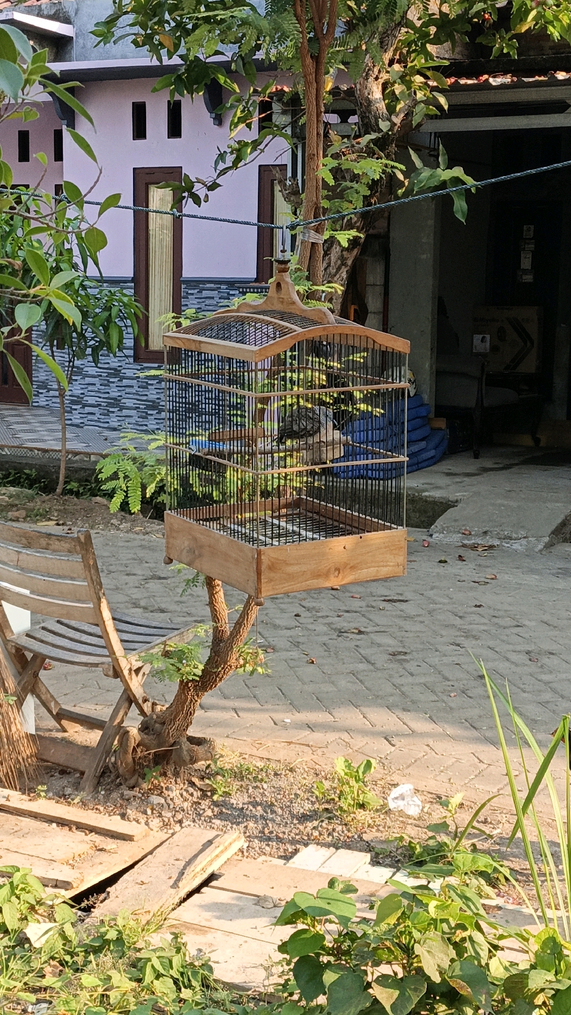 In Cikal, Indonesia, a birdcage made of wood and metal is suspended from a tree branch. Inside the cage, a single bird, likely a dove or pigeon, is perched. The cage is positioned in an outdoor area with a paved walkway and a wooden chair visible in the foreground. A house with a pink facade and dark brown window frames stands in the background, partially obscured by lush green foliage. The scene is bathed in warm sunlight, suggesting it is daytime.