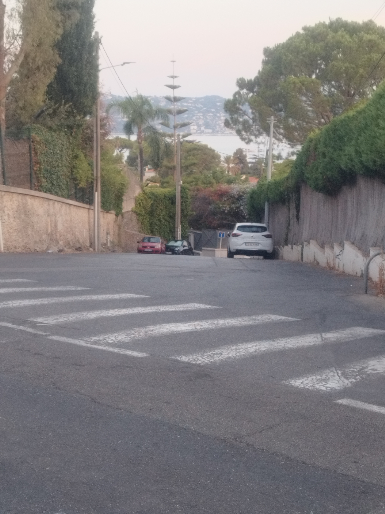The image depicts a street scene in Antibes, France, likely in a residential area given the presence of parked cars and vegetation. The foreground features a pedestrian crossing marked by white stripes on an asphalt road, which slopes gently upwards. On the left side of the road, a stone wall covered in ivy runs along the incline. On the right side, a wooden fence, weathered and showing signs of age, borders the street, with a hedgerow planted along its top.
Further up the street, three vehicles are visible. A red car is parked on the left, followed by a dark-colored car. Further ahead and to the right, a white car is parked. Behind the cars, the landscape opens up to reveal lush greenery, including palm trees and other Mediterranean vegetation. In the distance, beyond the trees, a body of water, likely the Mediterranean Sea, is visible, with a coastline dotted with buildings and hills on the horizon. The sky is overcast, suggesting a cloudy or hazy day. The overall impression is a quiet, residential street in a coastal town.
