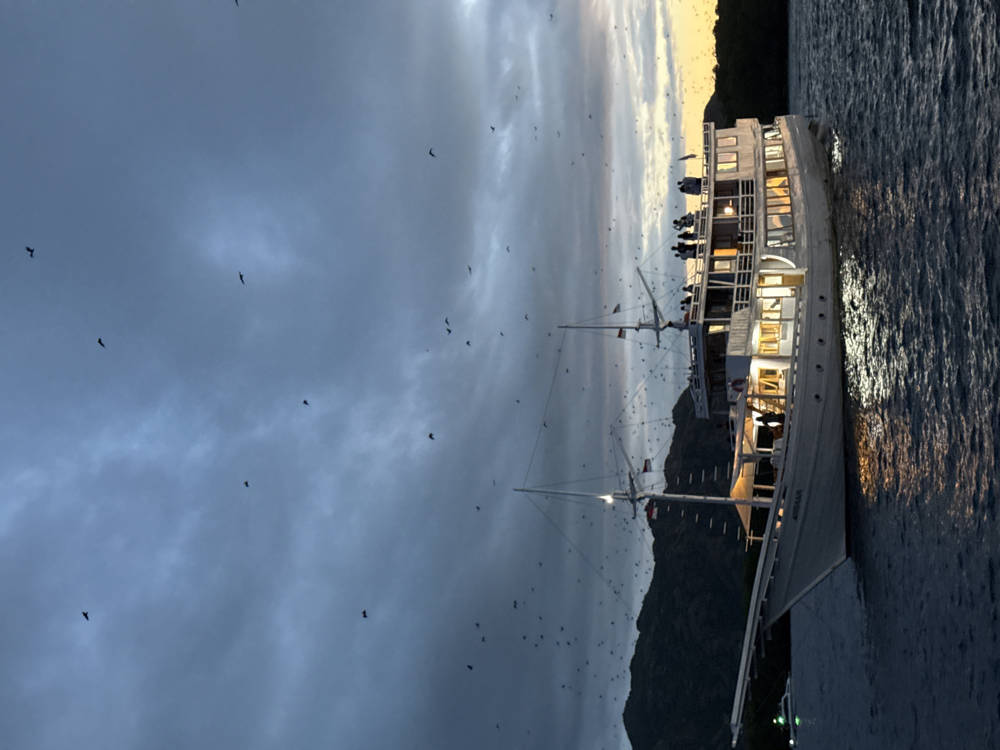 The image shows a multi-level boat with several people visible on its decks, illuminated by interior lights. The boat is sailing near a dark, mountainous shoreline. A large number of birds are scattered across the sky, which transitions from a dark, cloudy blue to a lighter, sunset-like color. The boat is labeled "AISYARA". The location is Rinca Village, Indonesia.