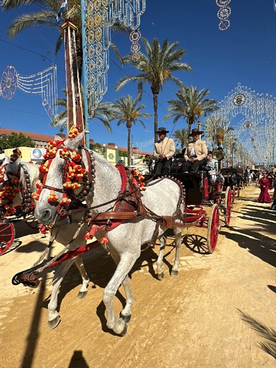 The image shows a horse-drawn carriage procession in Jerez de la Frontera, Spain. Two men dressed in traditional attire are seated in the carriage. The horses are gray and adorned with decorative tassels and bells. Palm trees line the street, and festive lights are strung overhead. Other carriages and people in traditional clothing are visible in the background. The street is a light tan color, likely dirt or sand.
