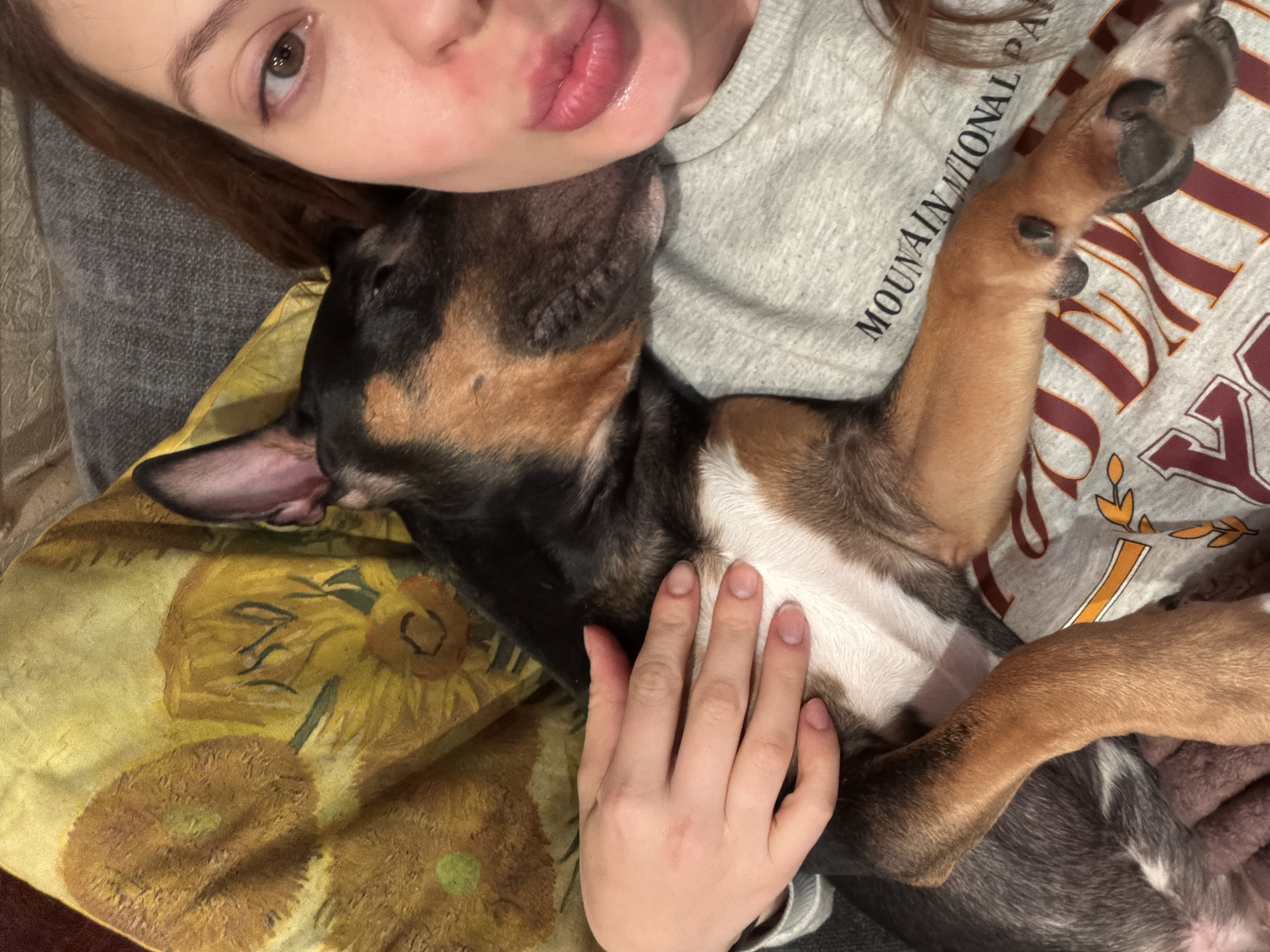 A young woman is lying down, embracing a tri-colored puppy. The woman has light skin, brown hair, and light-colored eyes. She wears a gray shirt with "MOUNTAIN NATIONAL PARK" printed on it. Her hand rests on the puppy's chest. The puppy has black, brown, and white fur. The woman and puppy are lying on a yellow pillow with a sunflower design. Part of a burgundy and gold patterned blanket is also visible. The location is not Khimki, Russia.