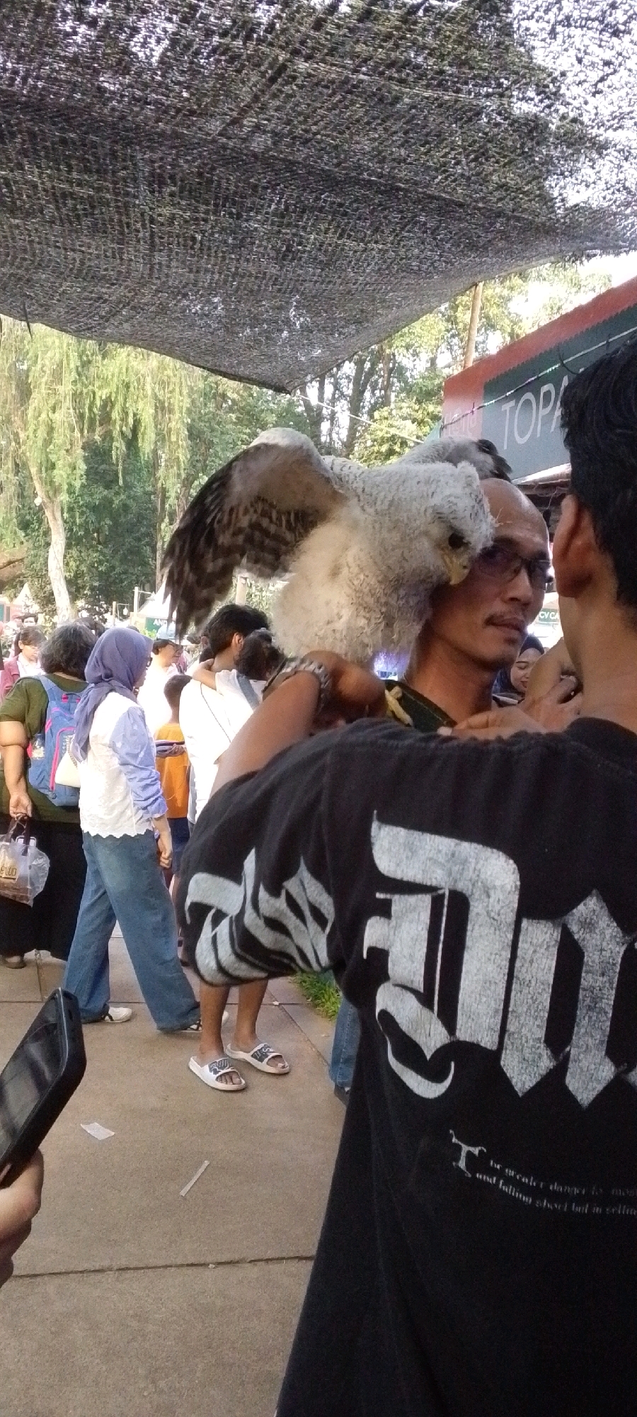 A young raptor with fluffy white down is perched on the shoulder of a man in Central Jakarta, Indonesia. The bird has dark flight feathers and a lighter head and chest. The man is wearing glasses and a black t-shirt with white lettering. Several other people are visible in the background, some of whom are also looking at the bird. They are walking on a paved pathway, possibly at an outdoor event or market, with trees and a black mesh shade structure overhead. One person in the foreground is holding a smartphone. The scene appears to be during daylight.