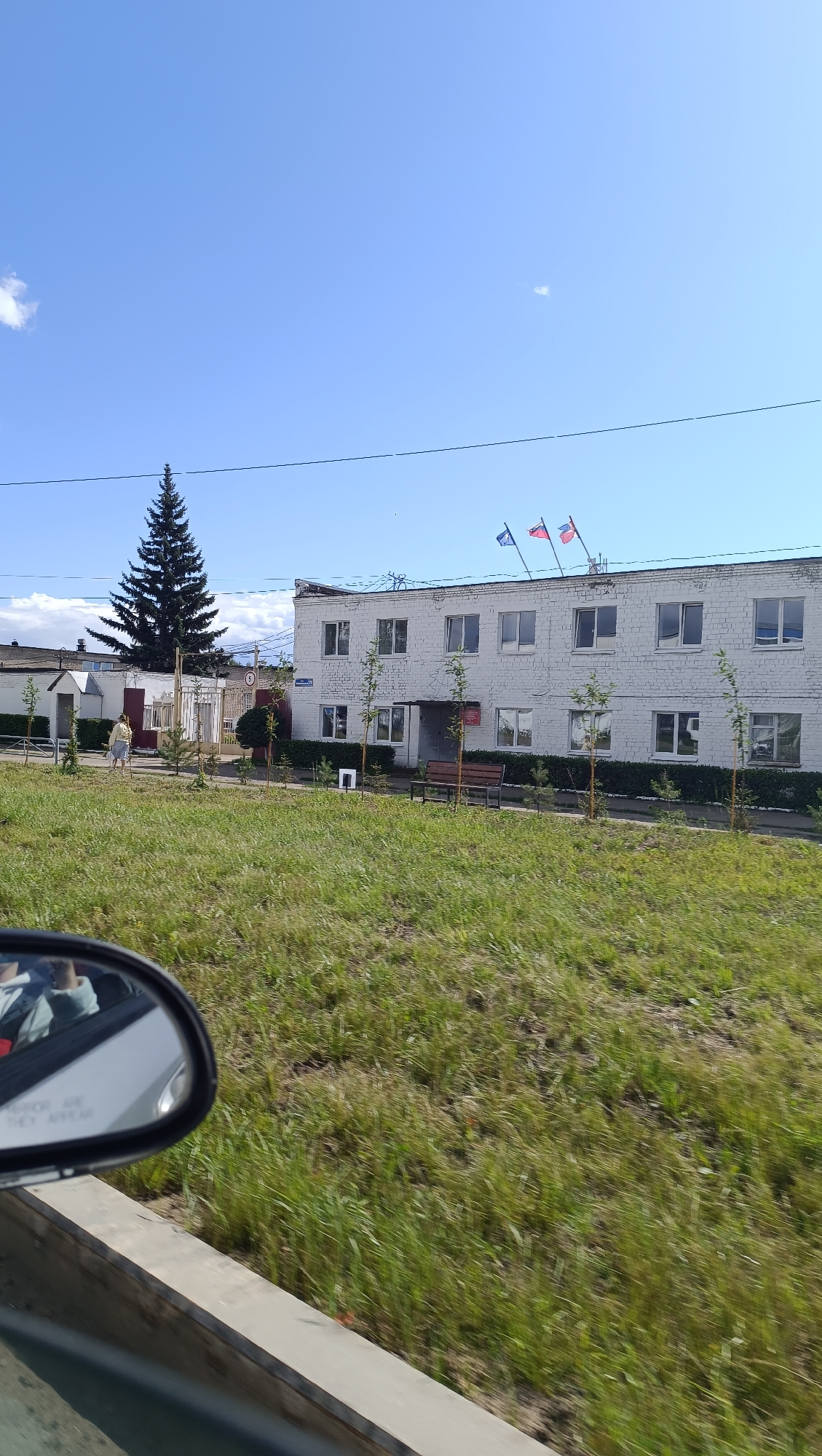 The image shows a building in the city of Chaikovsky, Russia, on a sunny day. The building is a low-rise structure with a white brick facade and numerous windows. Three flags fly from the roof of the building. In front of the building, there is a row of small trees and a wooden bench. A large evergreen tree stands to the left of the building. The foreground is dominated by a grassy field, and the reflection of a car's side mirror is visible in the lower left corner. The sky is clear blue with a few wispy clouds.