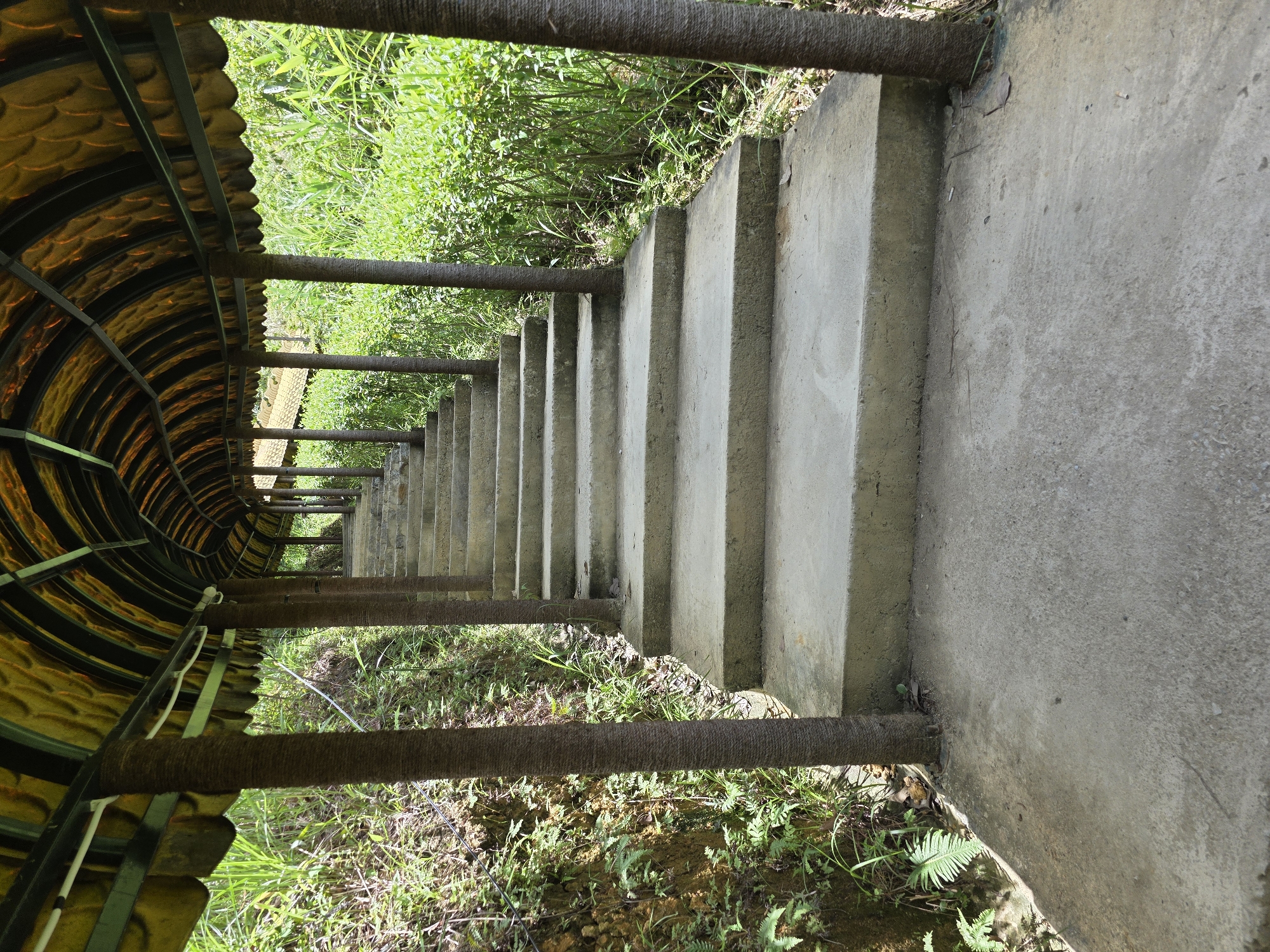 The image shows a covered walkway with concrete stairs in a lush, green environment. The walkway has a curved, yellow, textured roof supported by brown, textured pillars. The stairs ascend into the distance under the covered walkway. The sides of the walkway are lined with dense green vegetation and a rocky, earthen embankment on the left. This scene is located in the Son Tra Peninsula, a nature reserve and tourist attraction in Da Nang, Vietnam, known for its biodiversity and scenic landscapes. There are no people or animals visible in the image.