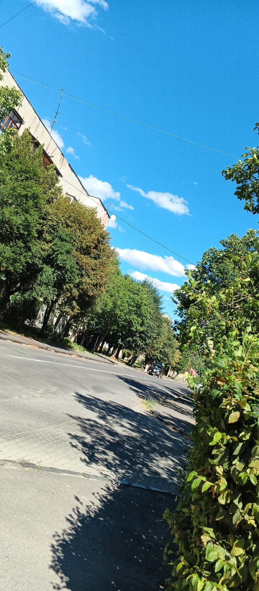 The image shows a street in Mukachevo, Ukraine on a sunny day with scattered clouds. A multi-story building lines the left side of the street, with trees in front of it. A road runs diagonally through the center of the frame, with a car visible in the distance. The right side of the image features a dense bush with green leaves. Shadows from trees are cast across the road and sidewalk. The sky is blue.
