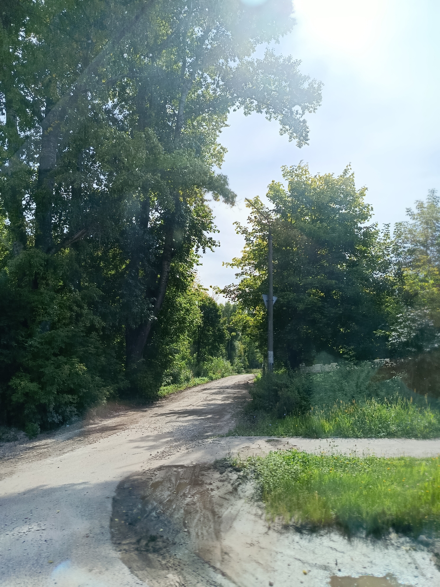 The image depicts a dirt road winding through a densely wooded area. The road is wet in places, with puddles reflecting the overcast sky and surrounding trees. Tall trees with dense green foliage line both sides of the road, their branches extending over the path. Sunlight filters through the leaves, creating dappled shadows on the ground. A single utility pole with a sign is visible on the right side of the road, breaking the uniformity of the trees. The environment suggests a rural or semi-rural setting, possibly a forest road or a path within a park. There are no people or animals visible in the image. The overall impression is one of natural beauty and tranquility.