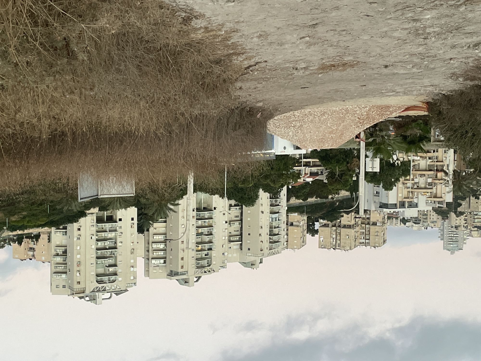 This is a photograph of a residential area in Haifa, Israel. The image is oriented vertically, with the sky at the bottom and the ground at the top.
In the foreground, there is a patch of dry, brown vegetation, likely representing sparse coastal flora. To the right of the vegetation, a light-colored, textured surface, possibly a path or a decorative element, is visible. Beyond this, a cityscape unfolds, dominated by tall, light-colored apartment buildings. These buildings have multiple stories, balconies, and numerous windows, indicating a densely populated urban environment. Green trees and foliage are interspersed between the buildings, suggesting a somewhat developed but still green area.
The sky is overcast, with layers of gray clouds, indicating a possibly hazy or dull weather condition. The time of day appears to be daytime, but the lack of direct sunlight and the muted colors suggest it might be early morning, late afternoon, or an overcast day. There is no visible text in the image. The scene depicts a typical residential urban landscape in a coastal city, likely a neighborhood with apartment complexes. There are no people or specific activities depicted; the focus is on the architecture and the natural and built environment.