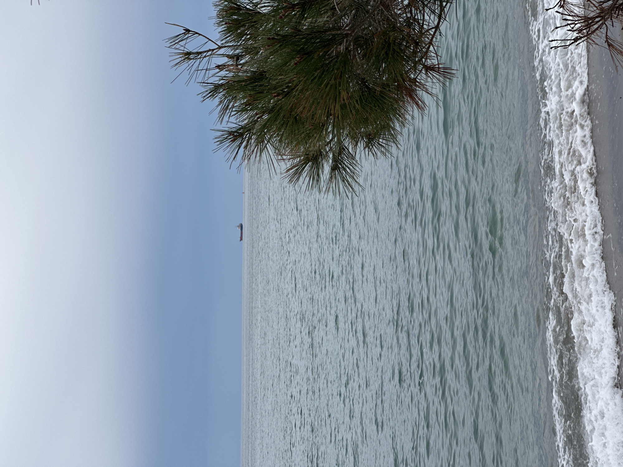 The image shows a view of the sea from the coast in Bar, Montenegro. The water is a light grey-green color, with waves visible near the shore. There is a sandy beach at the edge of the water, and a pine tree branch hangs down from the top of the frame. In the distance, there is a small ship or boat visible on the horizon. The sky is a pale blue color.