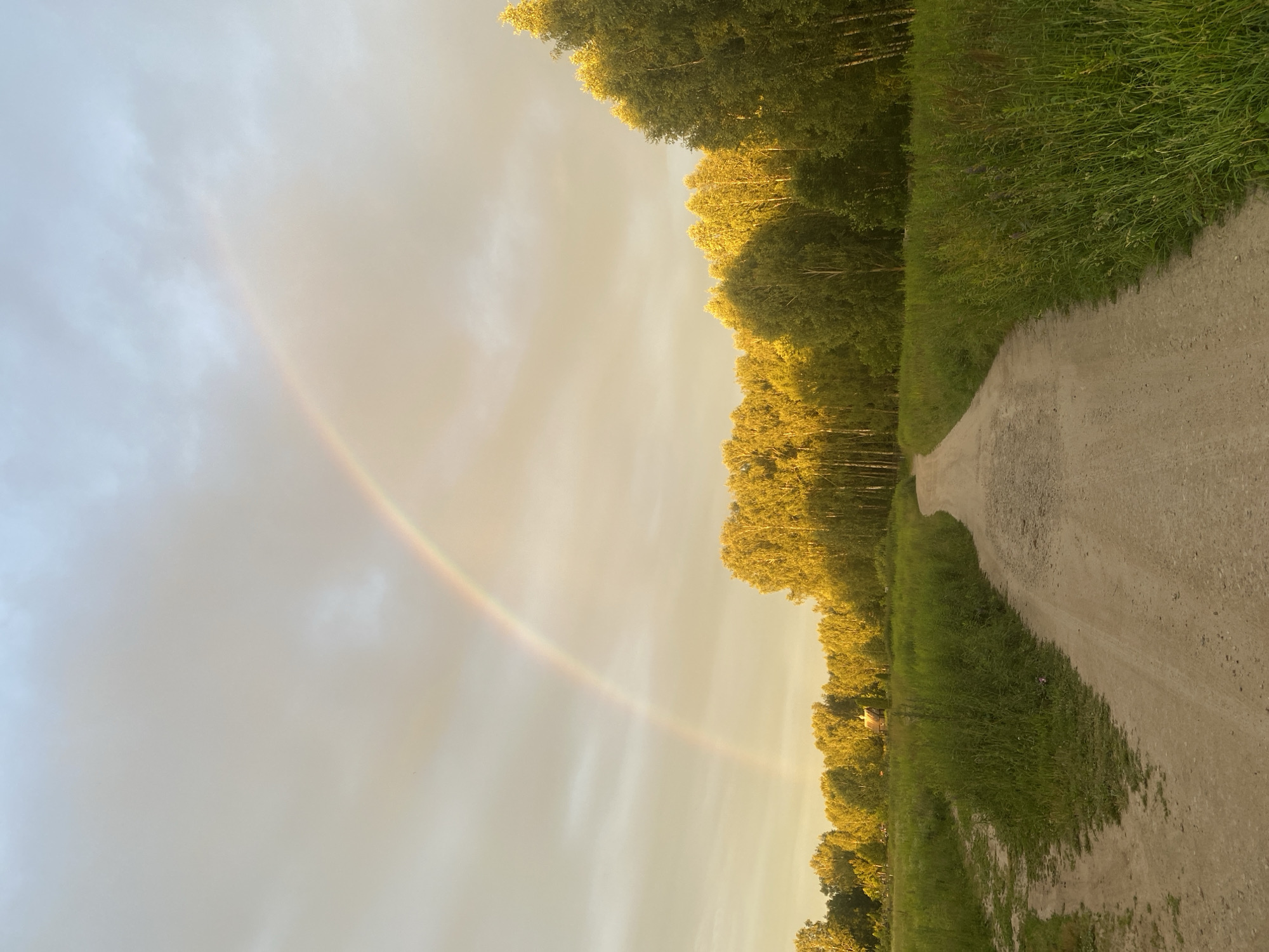 This is an eye-level, full shot image of a dirt road winding through a grassy field, bordered by a dense line of deciduous trees illuminated by the golden light of sunset. A faint rainbow arches across the pale, overcast sky. In the distance, a small, rustic wooden structure, possibly a house or shed, is visible amidst the trees. The environment appears rural and serene.