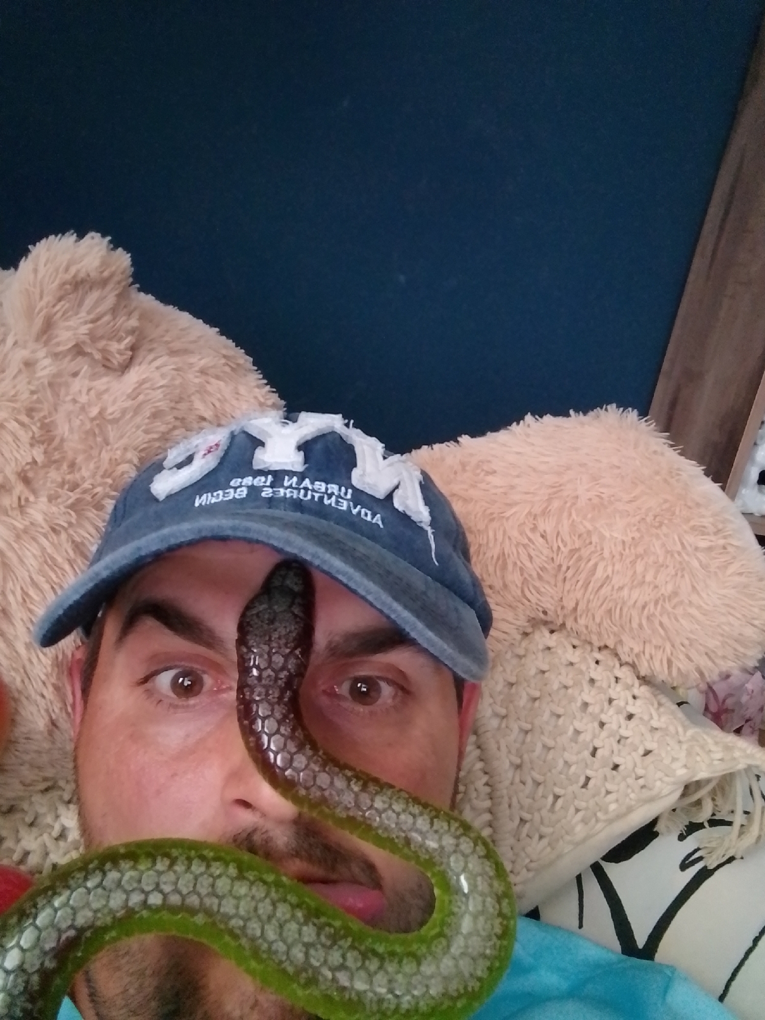 In a close-up, indoor shot, a person wearing a blue baseball cap with white lettering is lying down. A green snake, appearing to be a toy, is draped across their face, with its head positioned over the bridge of the person's nose and its body extending down towards their mouth. The person's eyes are open and looking at the camera. Behind the person are several soft, fuzzy, light-colored pillows. The background consists of a dark blue wall and a sliver of a wooden surface. There is no discernible location in the city of Wedel, Germany.