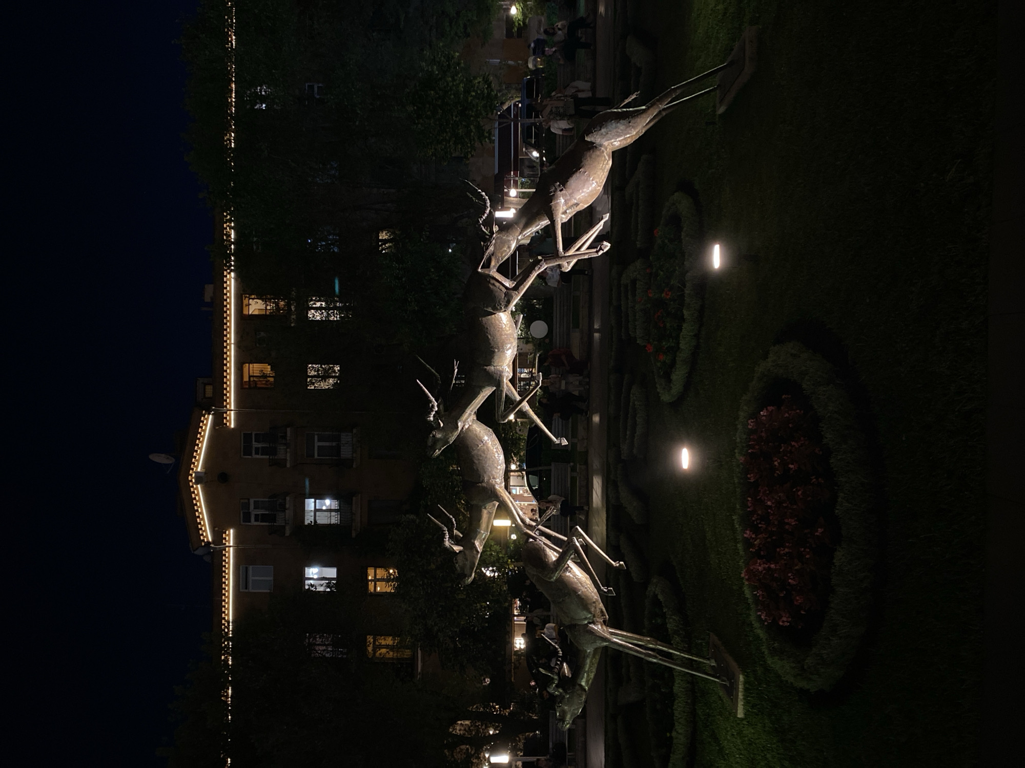 The image depicts an illuminated outdoor scene at night in Yerevan, Armenia, featuring a prominent group of deer sculptures in a park-like setting against the backdrop of a residential building.
In the foreground and midground, several metallic, bronze-colored deer sculptures are arranged on a manicured lawn. The sculptures vary in size and depict deer in dynamic poses, appearing to be running or leaping. Some have elaborate antlers. Small, bright ground lights illuminate sections of the lawn and flower beds, highlighting the sculptures. These flower beds are oval-shaped and contain dark red or purple flowers. A paved pathway is visible behind the sculptures, where a few blurry figures of people can be discerned, suggesting an evening stroll or observation of the art.
To the left and stretching into the background, a multi-story building is visible. Its facade is a light brown or beige color, and many of its windows are lit from within, indicating occupancy. The building's roofline and edges are adorned with decorative string lights, adding to the evening ambiance. The sky above is dark, characteristic of nighttime.
The overall scene conveys a peaceful urban park environment at night, featuring public art and architectural lighting. There is no visible text in the image.