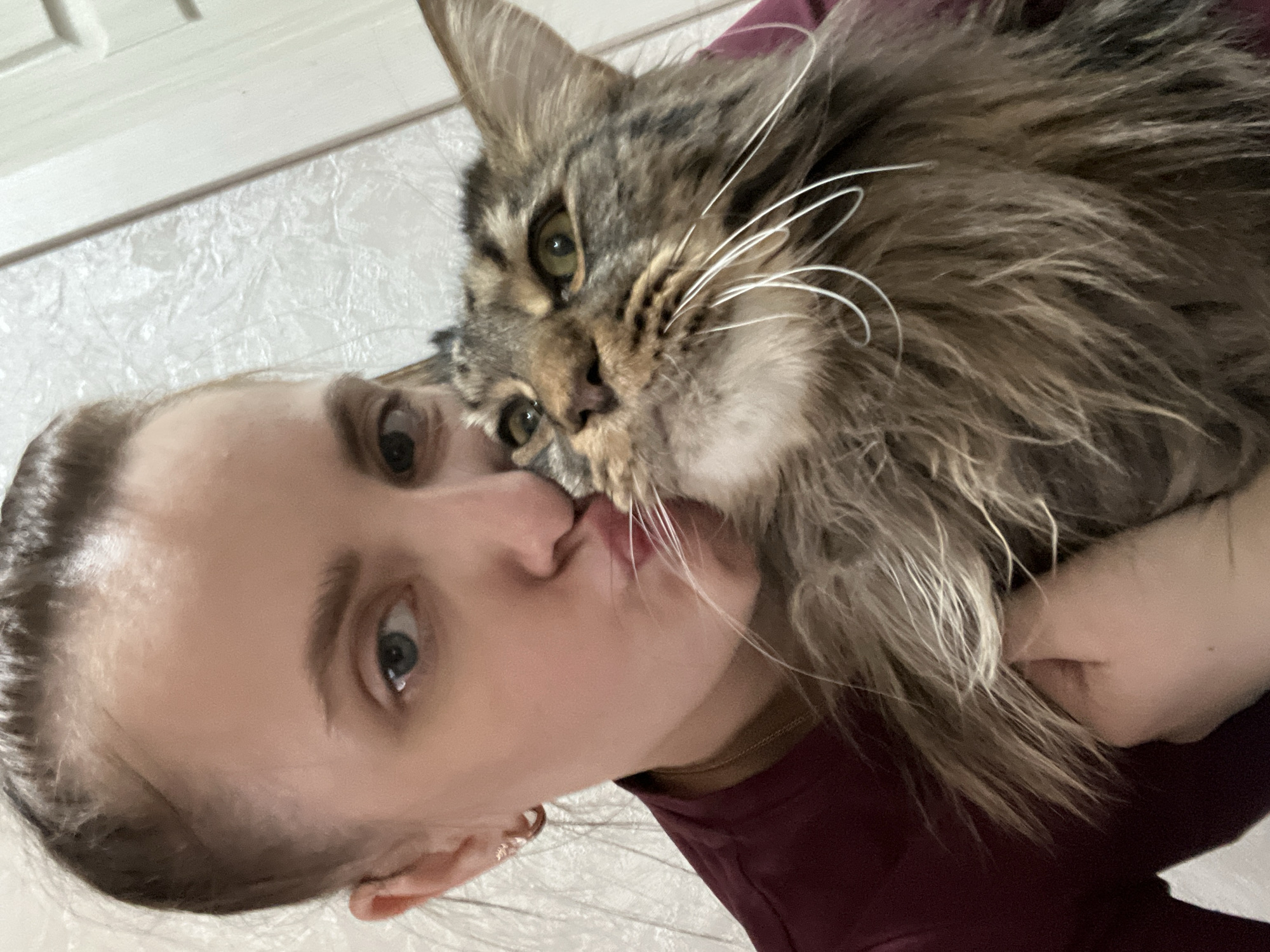 A close-up, rotated selfie captures an intimate moment between a young woman and a large, long-haired tabby cat. The woman, shown from the chin upwards, has fair skin, dark hair pulled back, and one visible eye (blue/grey). She is wearing a maroon-colored shirt and is making a kissing gesture with pursed lips towards the cat.
The cat, likely a Maine Coon due to its size and prominent features, has striking tabby patterns in shades of brown, grey, and cream, along with distinctive long white whiskers that curl. Its green-ish eyes are visible as it looks towards the camera. The cat's tongue is slightly extended, appearing to lick or nuzzle the woman's face or mouth area.
The background is a light-colored, textured wall with a section of a white door frame or trim visible, indicating an indoor setting, possibly a home in Markovskiy, Russia. The lighting is soft and diffused, characteristic of an indoor environment. The image conveys a strong sense of affection and bonding between the woman and her feline companion. There is no visible text in the image.
