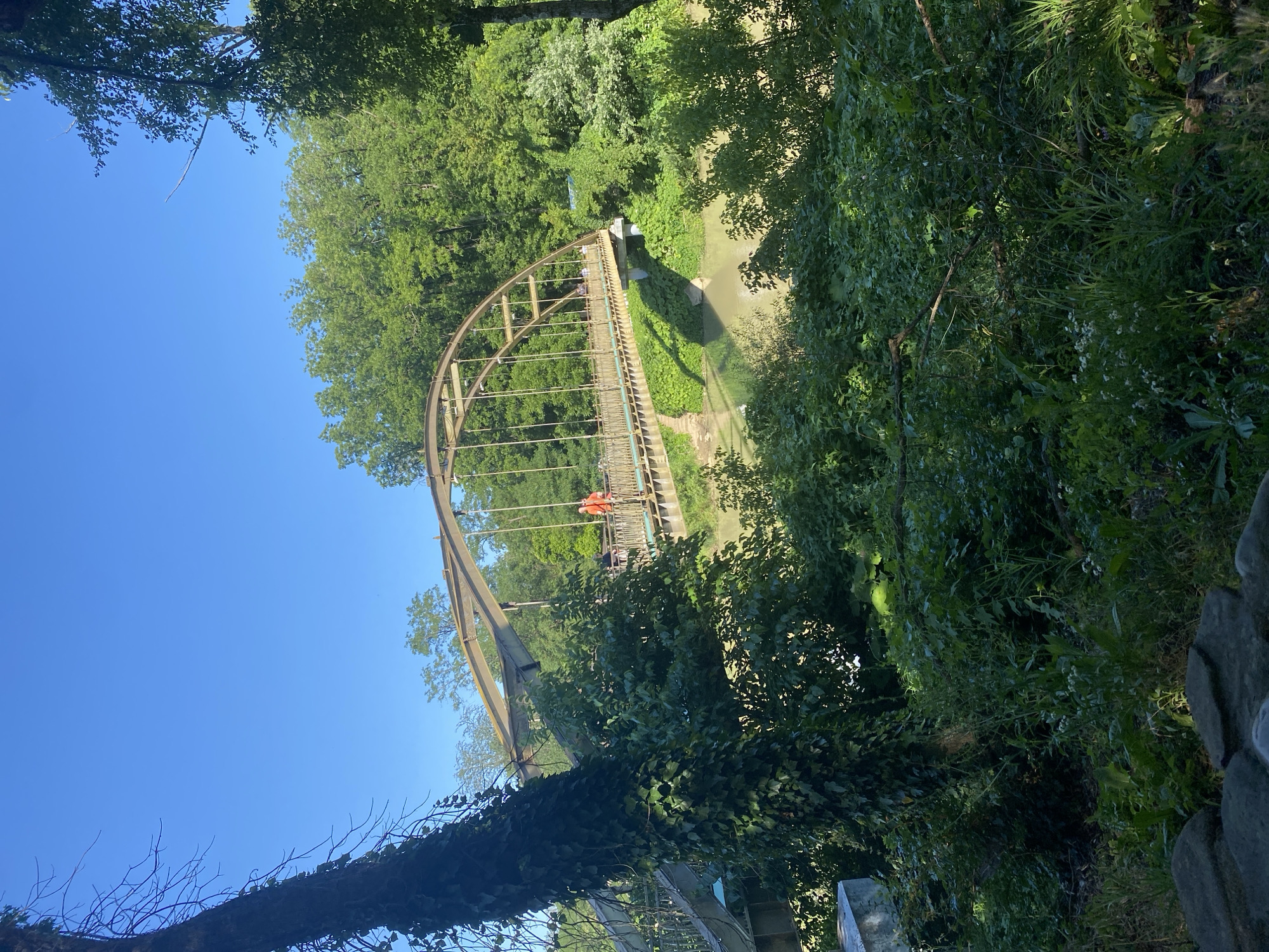 The image shows an arched pedestrian bridge spanning a river, surrounded by lush green trees. The bridge is made of metal and wood, with a walkway and railings. There are a few people visible on the bridge, one of whom is wearing an orange shirt. The river below is calm and appears to be shallow. The scene is bathed in bright sunlight, suggesting it is daytime. The foliage is dense and appears healthy, indicating a warm season, likely spring or summer. The clear blue sky suggests good weather. The presence of a river and abundant vegetation hints at a natural, possibly park-like setting. The image is oriented vertically, with the sky at the top left and the bridge and river running diagonally from the top center to the bottom right.