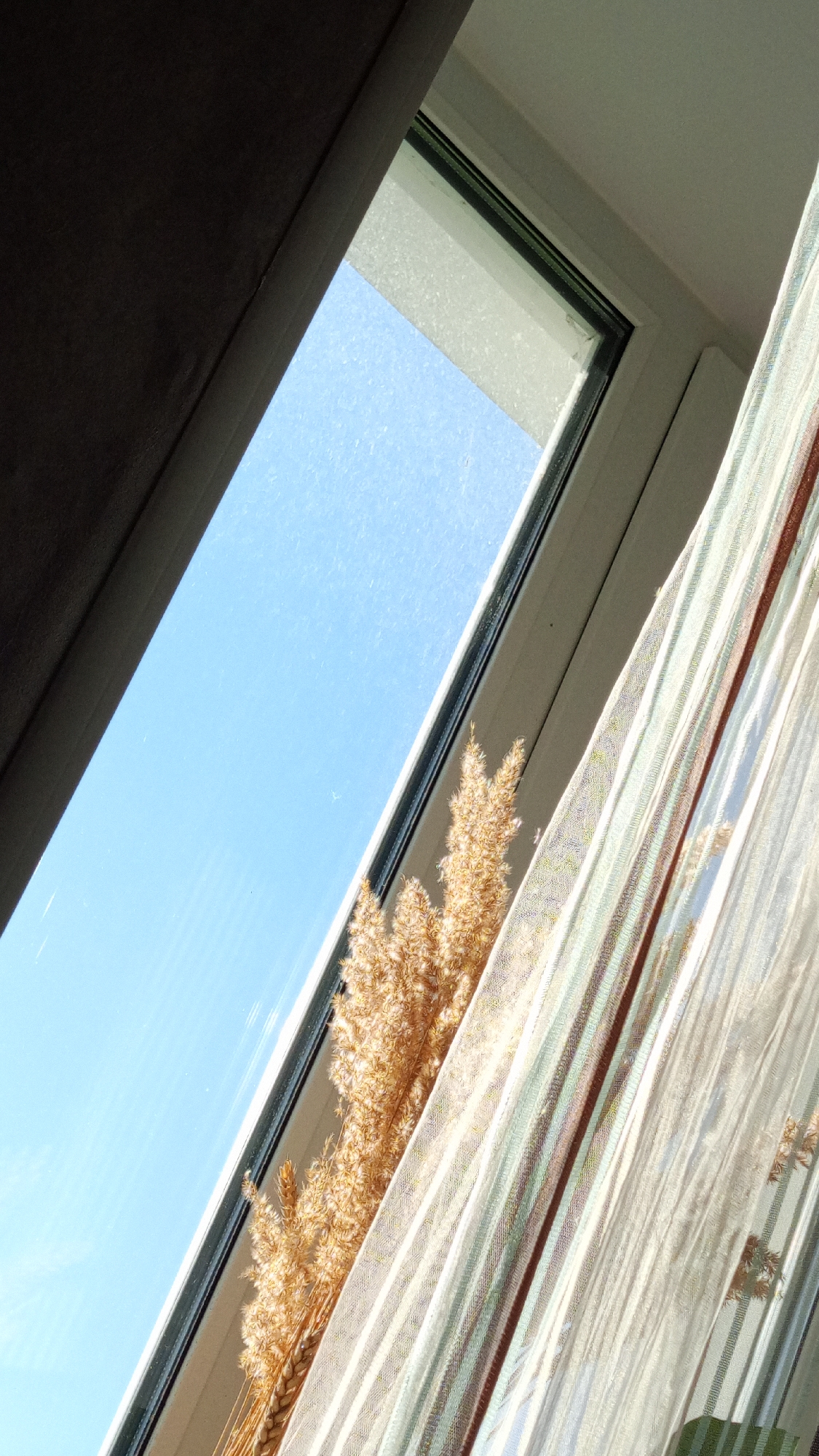 A low-angle, close-up shot looks up at a bright blue sky through a window in Уральское, Russia. The window frame is partially obscured by a dark brown curtain on the left and a striped, sheer curtain on the right. A bundle of dried wheat or reeds partially obscures the view, positioned between the window frame and the sheer curtain. The window is rectangular, with a frosted or textured glass pane. Light is strong, indicating a sunny day.
