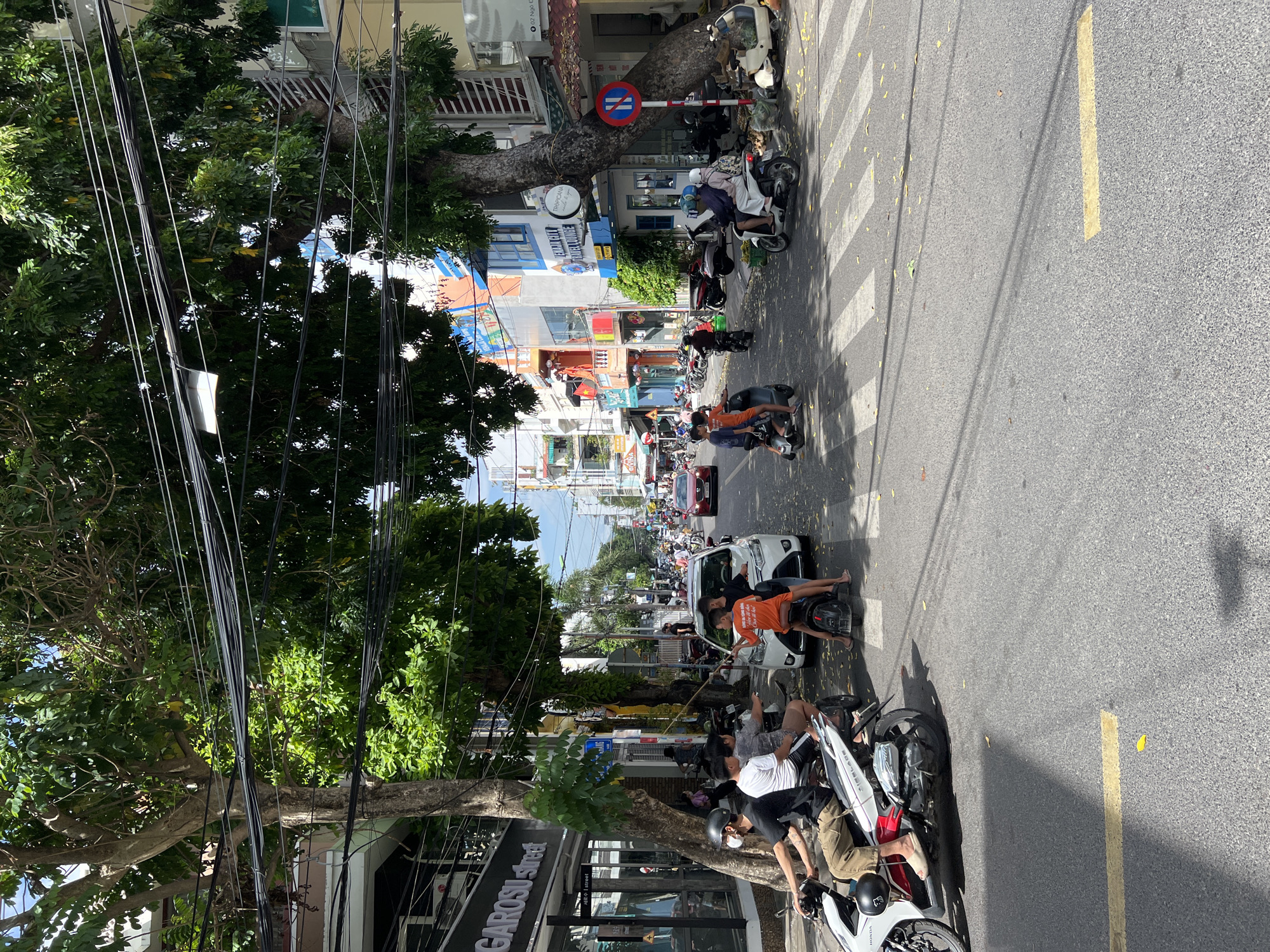 The image shows a street scene in Nha Trang, Vietnam, likely on a sunny day. The street is lined with buildings of various heights and architectural styles, some featuring colorful facades and balconies. Lush green trees with dense foliage overhang the street, casting shadows and creating a dappled light effect. A network of tangled electrical wires crisscrosses above the street.
In the foreground, a white car is stopped at a pedestrian crossing. Several people are on or near motorbikes. On the left, a man in a white t-shirt and brown pants is riding a white motorbike, wearing a black helmet. To his right, three young people are on a single motorbike, with one person in an orange shirt sitting on the back. Another motorbike with two people wearing helmets is stopped in the middle of the intersection. Further down the street, numerous motorbikes are parked and in motion, indicative of a common mode of transportation in the city.
A blue and white sign with "TROPICANA" written on it is visible on one of the buildings. A red and white circular traffic sign with a blue horizontal bar is posted near a large tree on the right side of the street. The road surface is asphalt, with yellow lane markings and white pedestrian crossing stripes. Scattered yellow leaves are visible on the road and sidewalk, suggesting it might be late spring or early summer, or that the trees are shedding. The overall impression is a vibrant and busy urban environment.