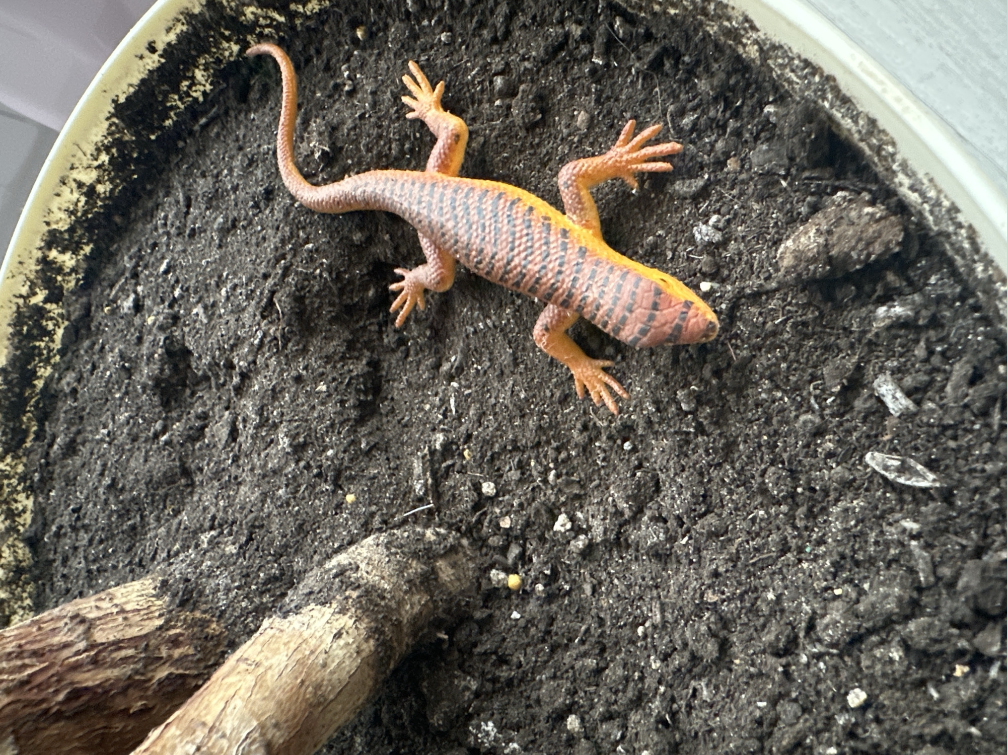 A close-up, overhead shot captures a plastic toy lizard nestled in dark, rich potting soil within a pale yellow planter. The lizard, predominantly orange with black stripes, lies on its belly, its limbs splayed. To the left, the rough, textured bark of a plant's stem is visible, partially obscuring the soil. The scene is devoid of any human presence or activity and does not provide any information that would allow for its location to be determined within the city of Чернишня, Russia.