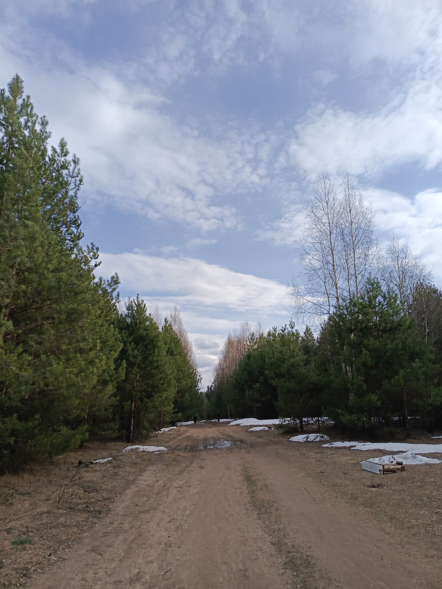 The image depicts a dirt road leading through a wooded area under a partly cloudy sky. The location is Chaikovsky, Russia. The ground is covered with dry grass and patches of melting snow. Trees line both sides of the road, with a mix of deciduous and evergreen species. In the distance, two figures are visible on the road. Near the road, an open metal box sits near scattered logs.