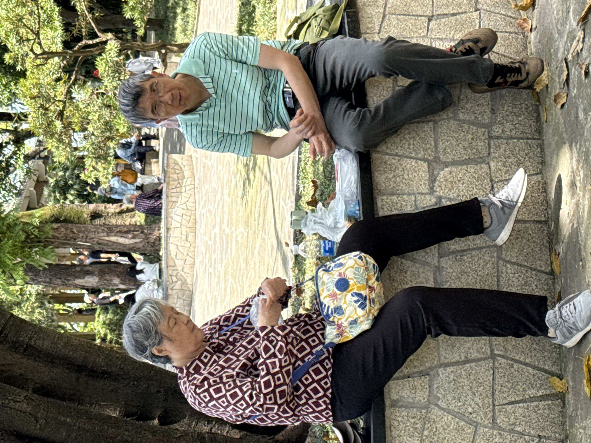 This image captures two elderly individuals resting outdoors in what appears to be a park or public area in Yuzhong District, China, during the daytime. The image is rotated 90 degrees clockwise.
In the foreground, an older man with short grey hair is sitting on a low wall or ledge, wearing a light green and white striped polo shirt and dark grey pants. He has dark athletic shoes with some colorful accents. He is looking directly at the camera with a neutral expression, and his hands are clasped. Next to him on the ground is a green shoulder bag and some plastic bags.
Further down and to the left, an older woman with short grey hair is also seated, wearing a brown and off-white geometric patterned long-sleeved shirt and black pants. She has grey athletic shoes and is looking down, seemingly busy with something in her hands, possibly from a plastic bag. A colorful bag with a floral and leaf pattern in yellow, blue, and green sits beside her. A clear plastic water bottle, labeled "Watsons," is visible near her feet.
The ground is paved with light-colored, patterned stone, and there are scattered fallen leaves. In the background, out of focus, are several trees with green foliage and other people also seated or walking. The lighting suggests a clear, sunny day. The scene evokes a sense of calm and leisure.
