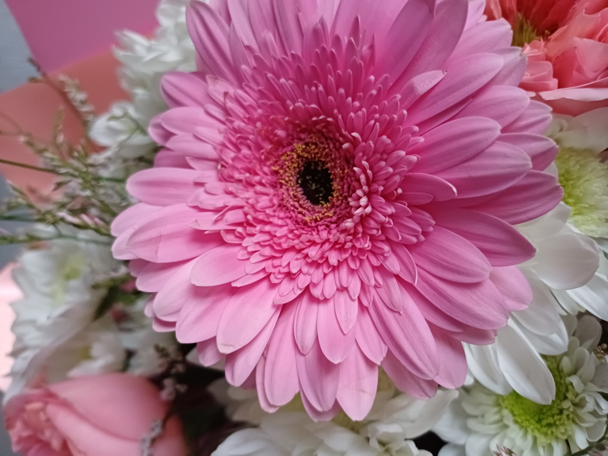 This media file is a close-up shot of a bouquet of flowers. The primary subject is a large, vibrant pink Gerbera daisy that dominates the center of the frame. Its numerous, elongated petals radiate outwards from a dark, central disc speckled with yellow. Surrounding the Gerbera are other flowers, including white daisies with green centers and delicate, pink roses. The arrangement is lush and full, with hints of green foliage and wispy filler flowers adding texture and depth. The lighting is soft and diffused, suggesting an indoor setting or an overcast day. The overall mood is cheerful and elegant, likely intended for display or as a gift. There is no visible text or indication of a specific time of day, weather, or location.