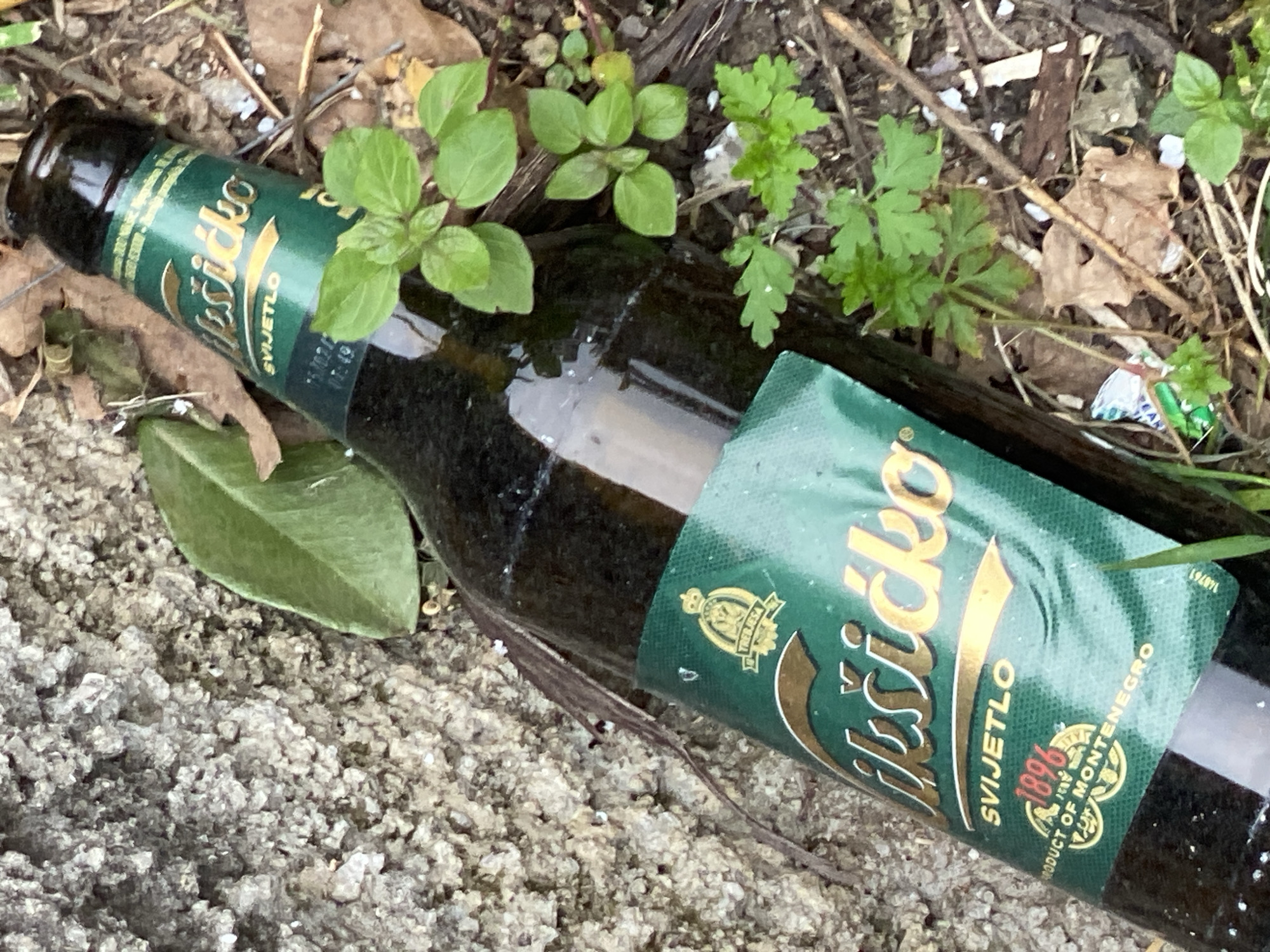 A discarded green glass bottle of "Niksicko Svijetlo" beer lies amidst ground debris, including leaves, twigs, and foliage, on a concrete-like surface. The bottle's label indicates "Product of Montenegro, 1896". The location is suggested to be Budva, Montenegro. No people are visible in the image.