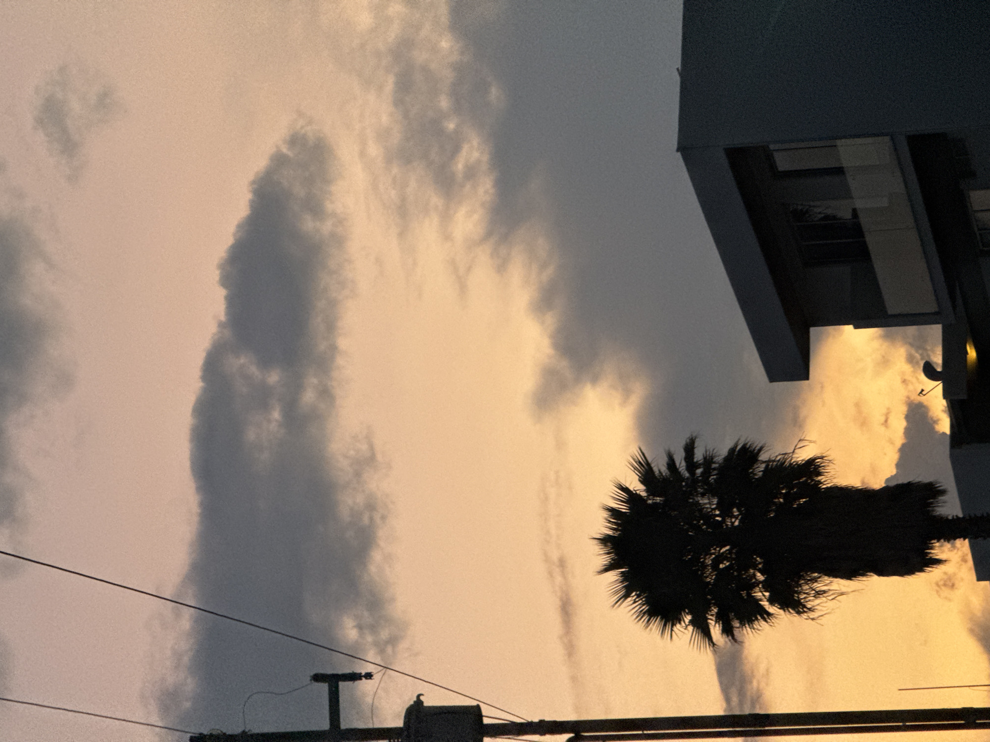 A low-angle shot of a cityscape at dusk, possibly in San Bernardino Tlaxcalancingo, Mexico, reveals a pale orange and grey sky filled with heavy clouds. A palm tree, silhouetted against the sky, stands in front of a modern building with glass-fronted balconies on the right side of the frame. In the foreground, power lines and a utility pole are visible.