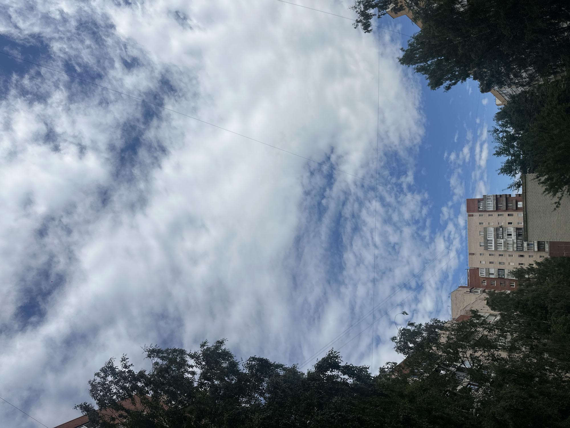 The image depicts a view of apartment buildings and trees against a sky with white and gray clouds. The buildings appear to be residential, with multiple stories and balconies. The trees are tall and leafy, framing the buildings and partially obscuring the sky. Several thin, dark lines, likely utility wires, crisscross the sky. One building in the center of the frame is a multi-story apartment complex with a reddish-brown section at the top and lighter colored sections below. Another building to the left is partially visible and appears to be made of brick. A small red object is visible in the sky in the upper right portion of the frame. The scene suggests an urban environment, possibly a residential area in Saint Petersburg, Russia, given the architectural style of the buildings and the presence of utility wires, common in many Russian cities. The overall impression is one of an ordinary day in a city, with a mix of natural and man-made elements.