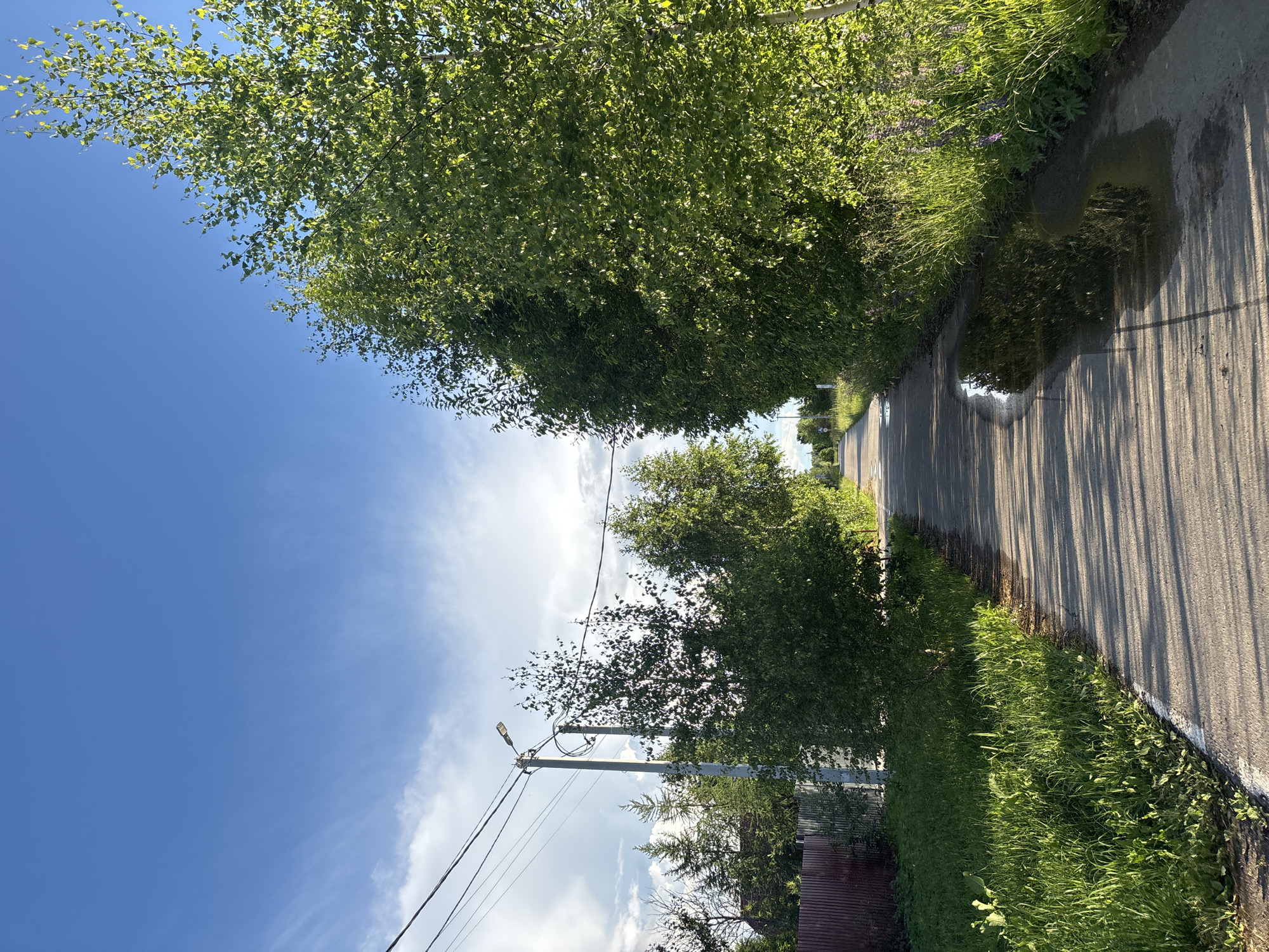 The image depicts a paved road in Мещёры, Russia, lined with lush green trees and grass. The sun is shining, casting long shadows across the road, suggesting it is late afternoon or early evening. There are puddles on the road, indicating recent rain. A lamppost stands by the side of the road, with power lines running across the frame. In the distance, more trees and a hint of a fence can be seen. The sky is a vibrant blue with scattered white clouds. The overall scene evokes a peaceful, rural atmosphere on a sunny day after a rain shower. There is no visible text.
