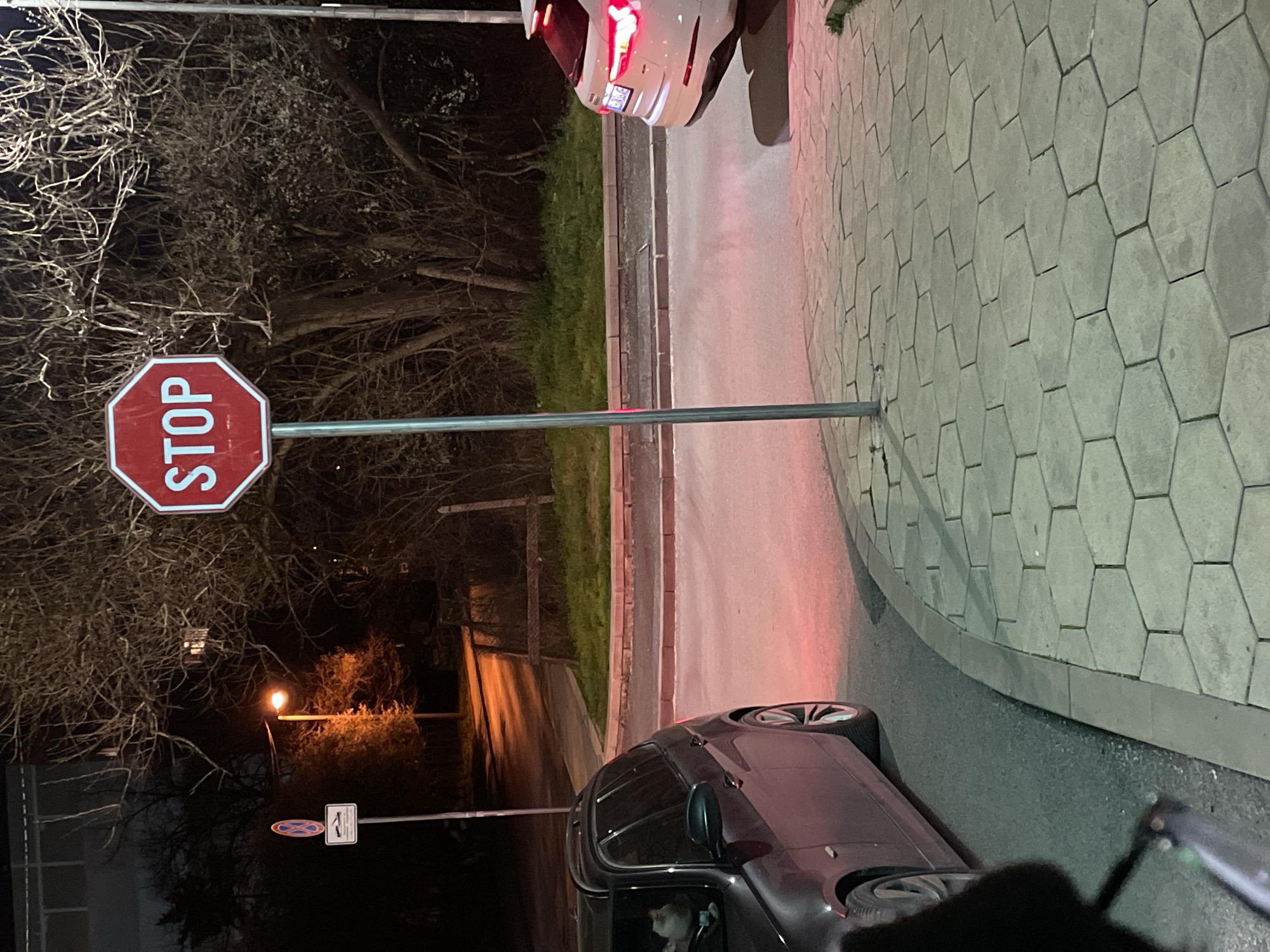 The image shows a street scene at night, possibly in Sofia, Bulgaria. There's a stop sign on the left side of the road. A car is parked on the right side of the road, with its brake lights illuminated. Another car, with a person visible inside, is parked at the bottom. There is a street light in the background. The street is paved with hexagonal concrete blocks. Trees are visible on the left.