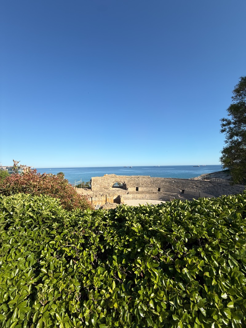 The image shows the Roman Amphitheatre of Tarragona, Spain, with the Mediterranean Sea in the background under a clear blue sky. The amphitheater is a stone structure with visible arches and seating tiers. Dense green bushes dominate the foreground, partially obscuring the view. Other vegetation is visible to the left. Several ships are on the sea. Buildings are visible to the left of the amphitheater. A tree is to the right.
