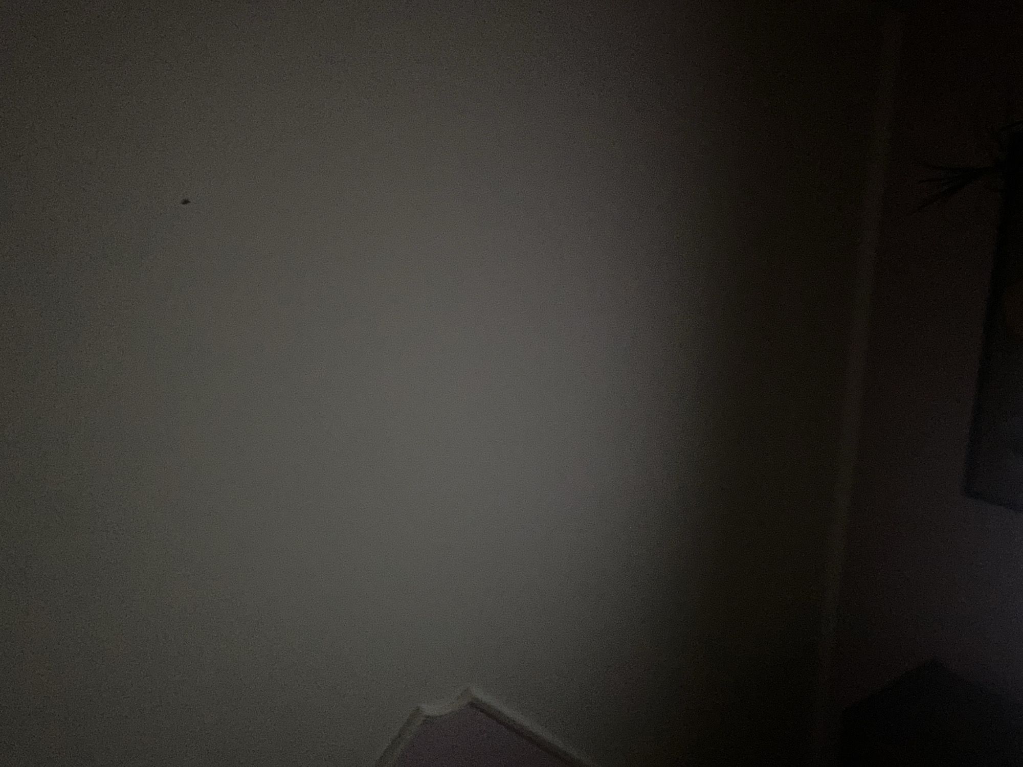 The image shows a dimly lit interior ceiling with a very faint, small dark speck visible slightly off-center in the upper portion of the frame. The ceiling appears to be painted a light, neutral color, possibly white or off-white, and shows some subtle gradient in lighting, becoming darker towards the bottom of the image. In the bottom left and bottom right corners, there are areas of much darker shadow, obscuring any details that might be present on the wall or objects below. The top left corner shows a curved architectural element, likely part of a ceiling cornice or molding, painted in a light color with a hint of purple. The overall impression is of a domestic indoor space, possibly a bedroom or living area, at night or with minimal lighting. The location in Zastavna, Ukraine, is not visually represented in the image itself.